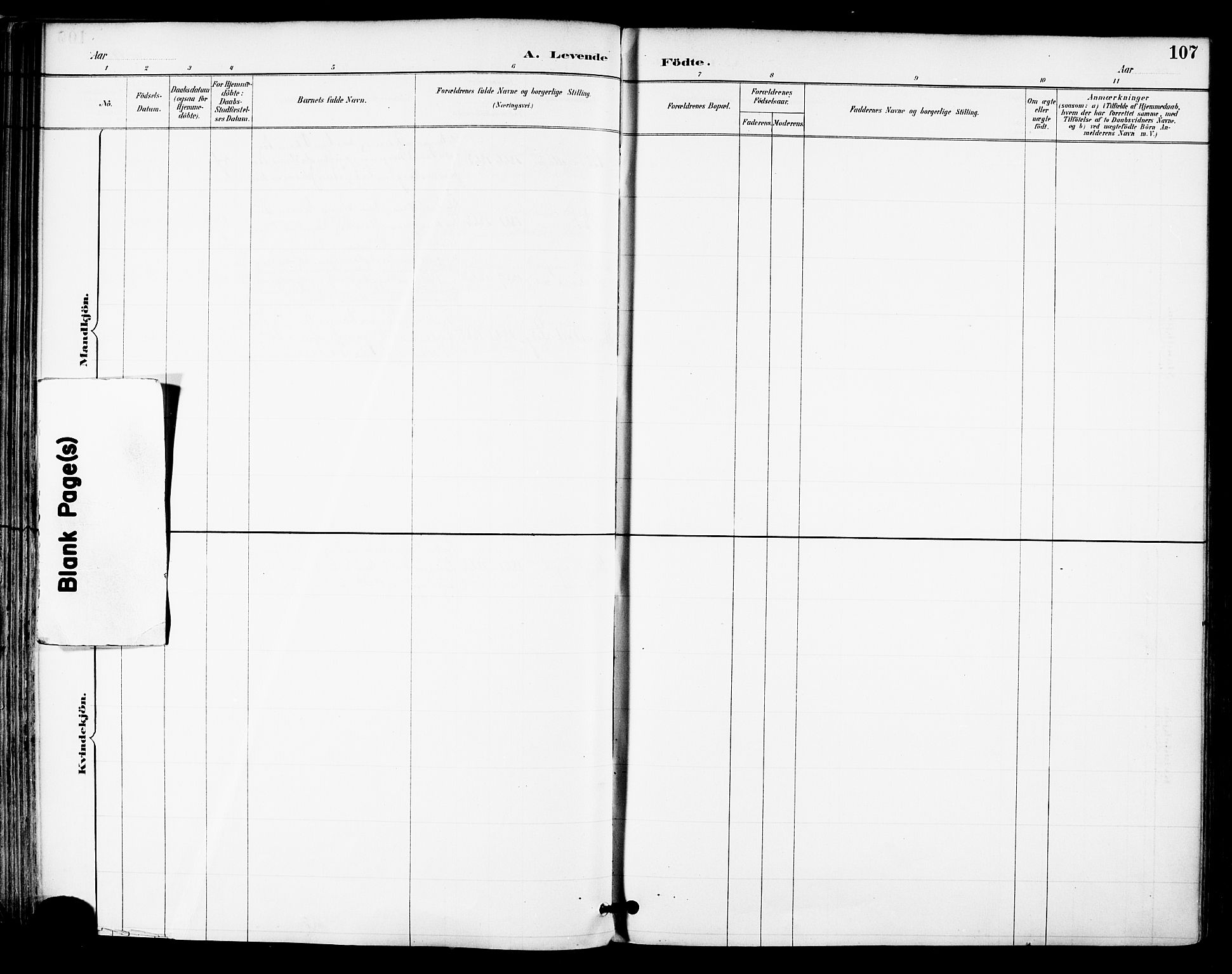 Ministerialprotokoller, klokkerbøker og fødselsregistre - Nordland, AV/SAT-A-1459/855/L0803: Parish register (official) no. 855A11, 1887-1905, p. 107