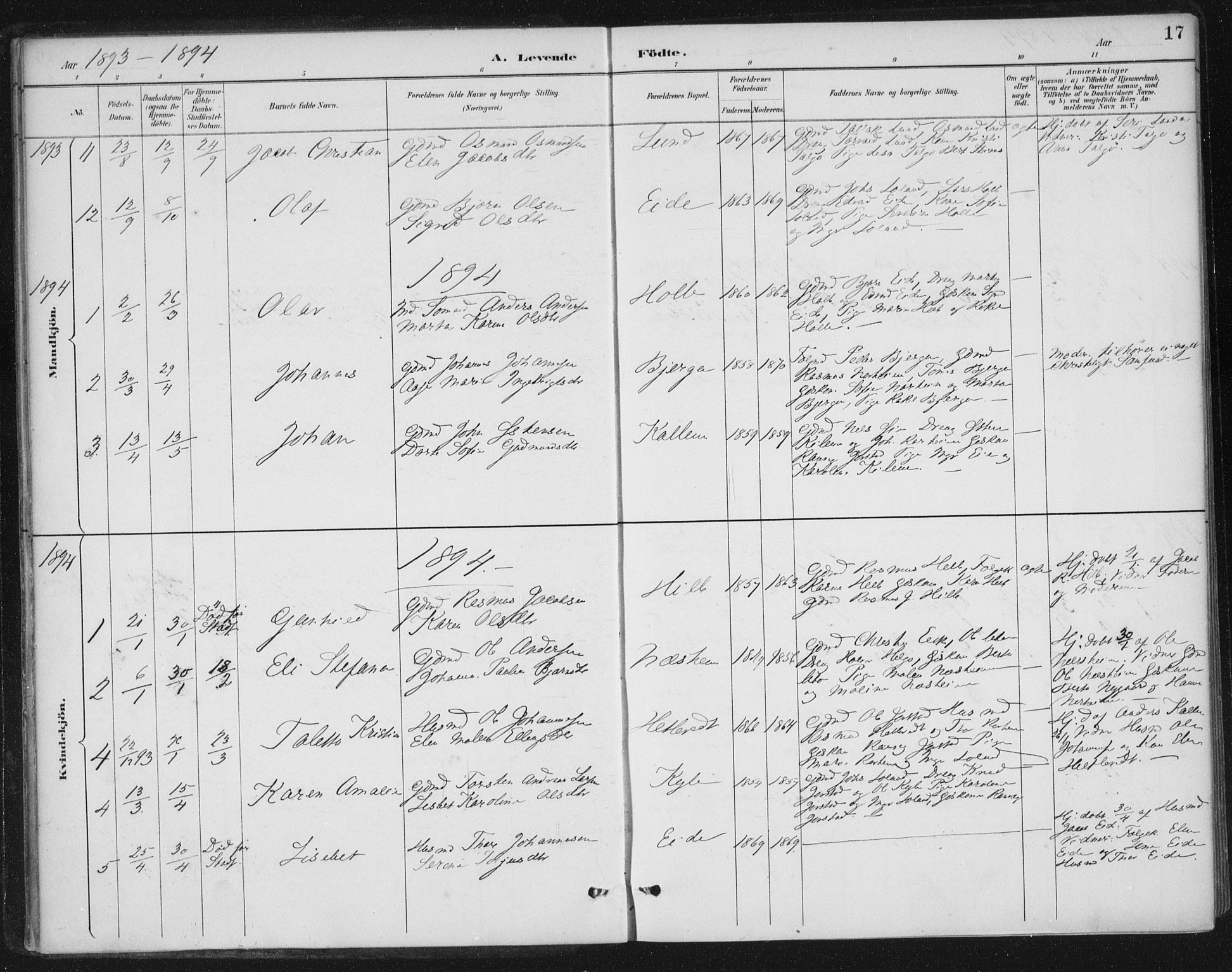 Nedstrand sokneprestkontor, AV/SAST-A-101841/01/IV: Parish register (official) no. A 13, 1887-1915, p. 17