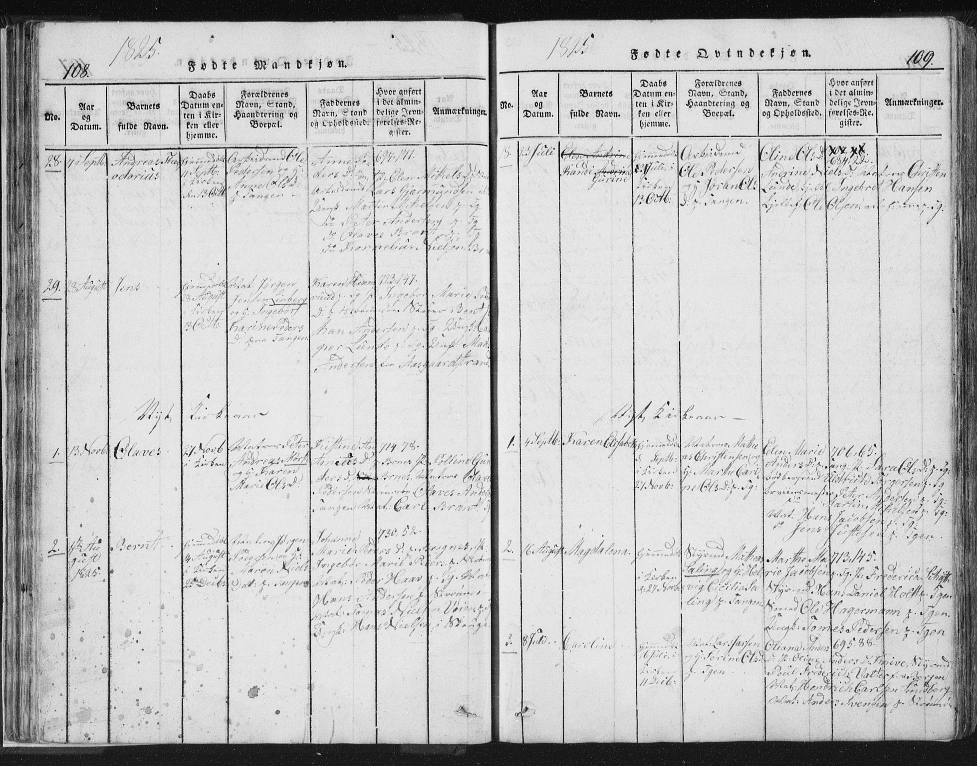 Strømsø kirkebøker, AV/SAKO-A-246/F/Fb/L0004: Parish register (official) no. II 4, 1814-1843, p. 108-109