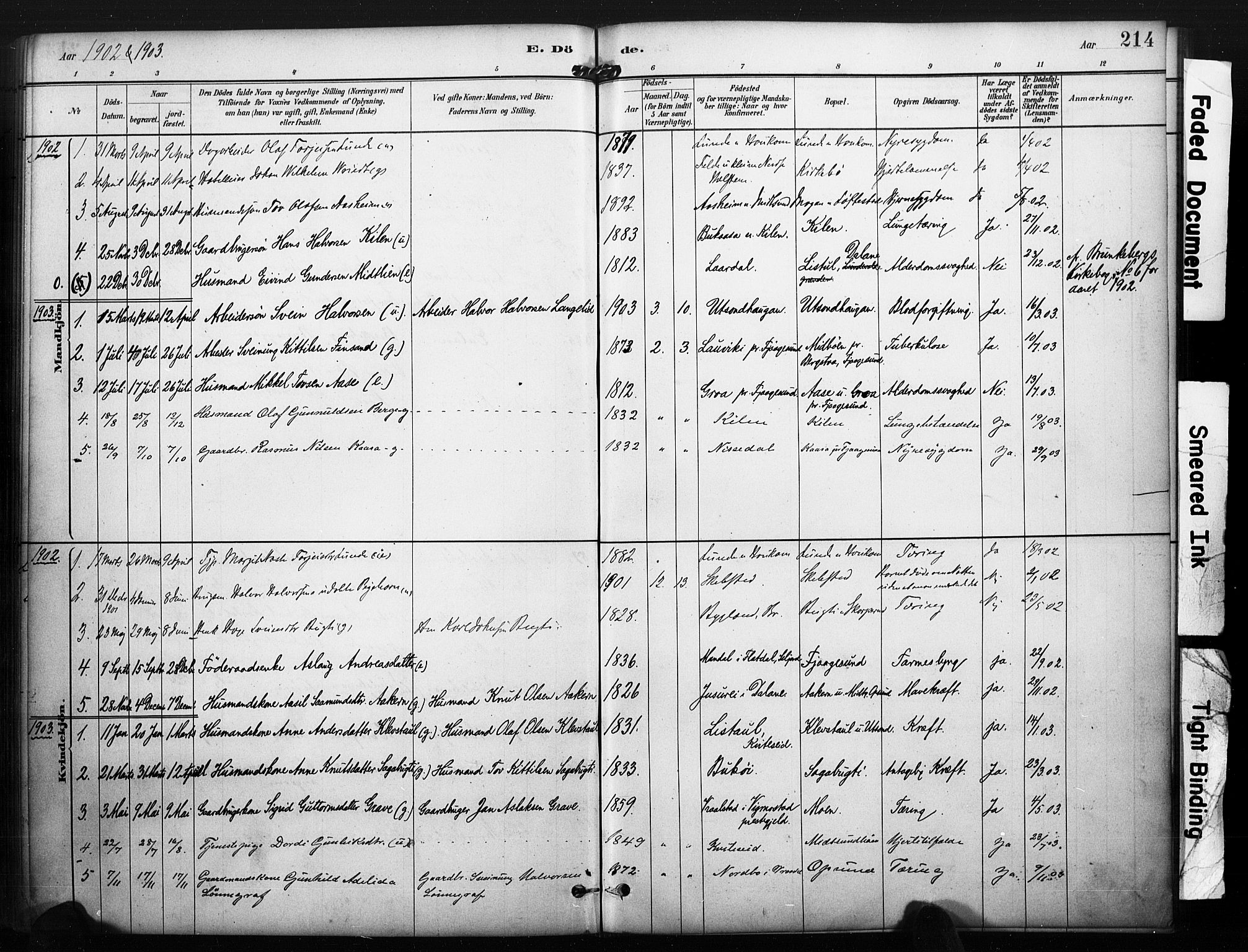 Kviteseid kirkebøker, SAKO/A-276/F/Fa/L0008: Parish register (official) no. I 8, 1882-1903, p. 214