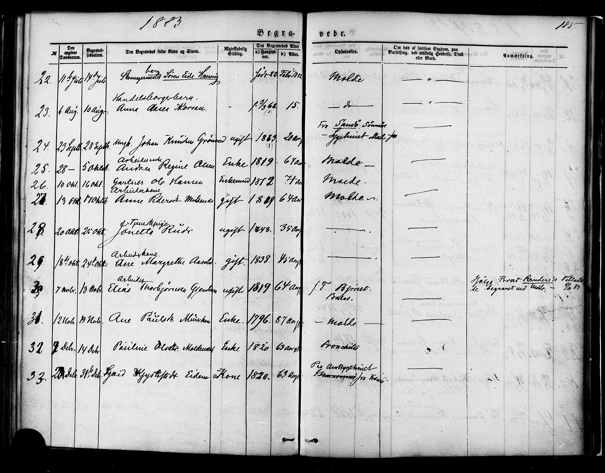 Ministerialprotokoller, klokkerbøker og fødselsregistre - Møre og Romsdal, AV/SAT-A-1454/558/L0691: Parish register (official) no. 558A05, 1873-1886, p. 185