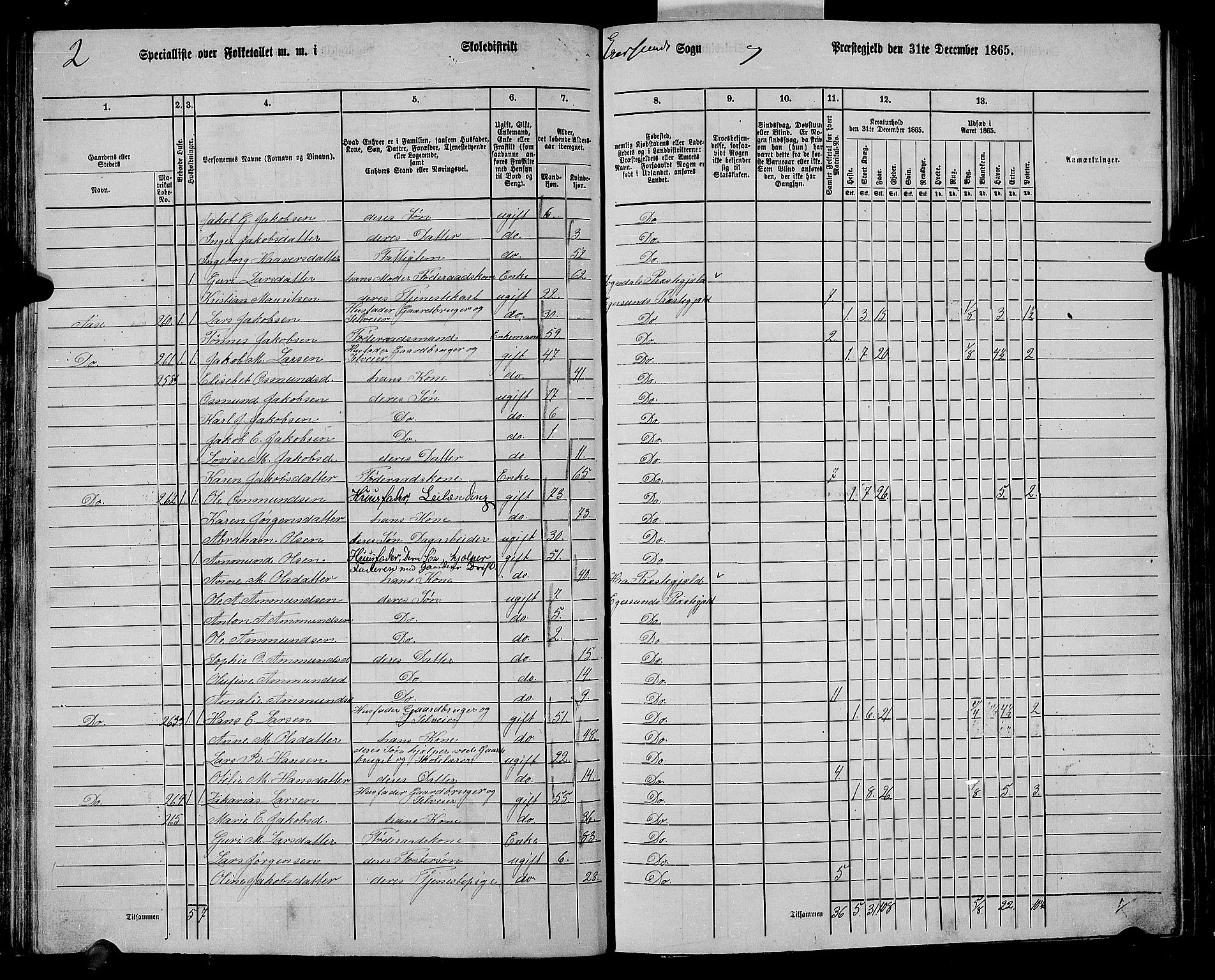 RA, 1865 census for Eigersund/Eigersund og Ogna, 1865, p. 81