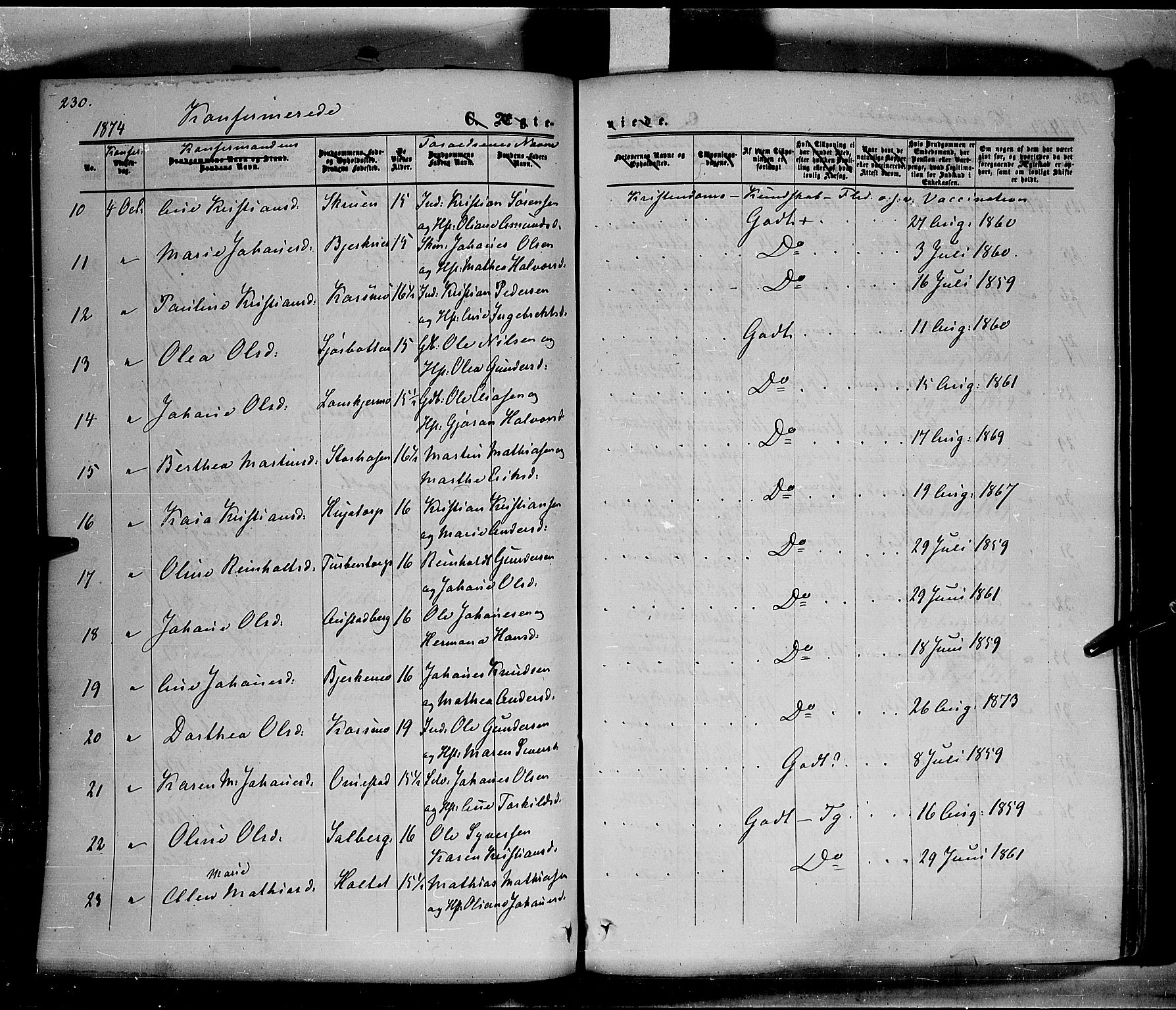 Hof prestekontor, AV/SAH-PREST-038/H/Ha/Haa/L0009: Parish register (official) no. 9, 1862-1877, p. 230