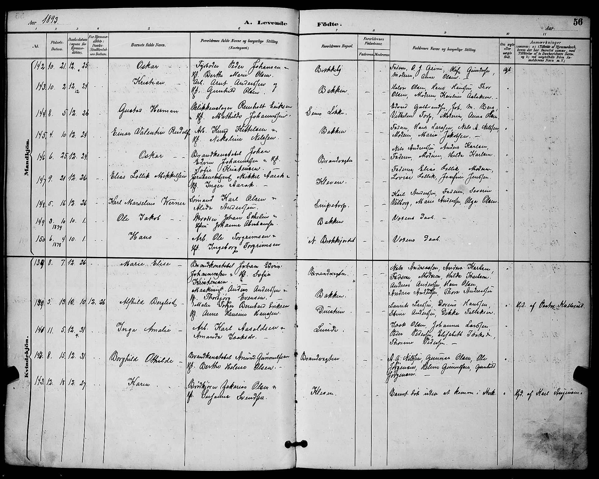 Skien kirkebøker, SAKO/A-302/G/Ga/L0007: Parish register (copy) no. 7, 1891-1900, p. 56