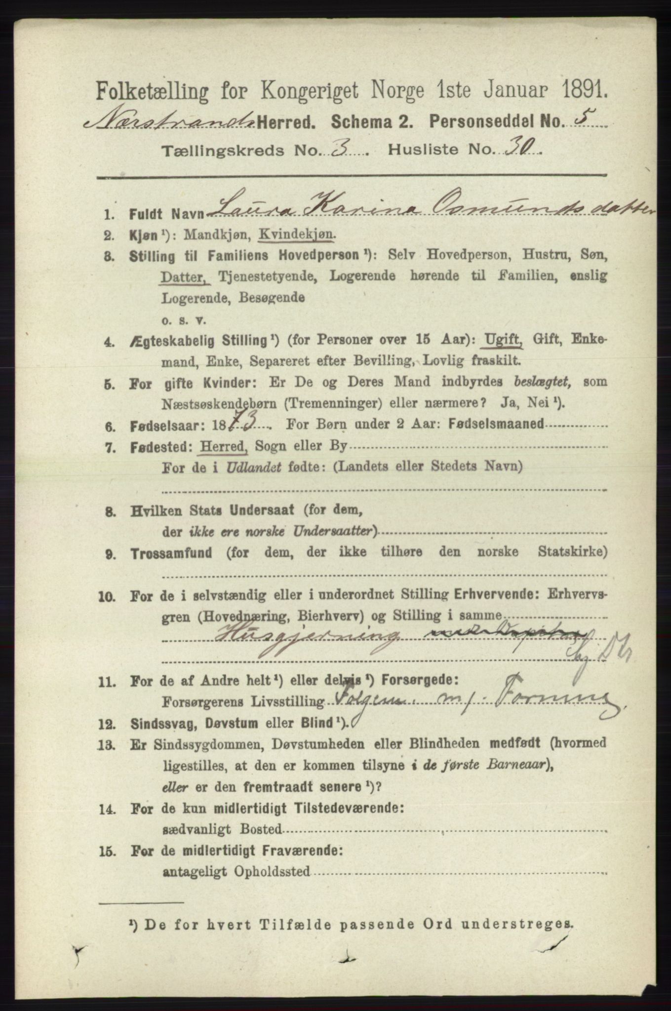 RA, 1891 census for 1139 Nedstrand, 1891, p. 612