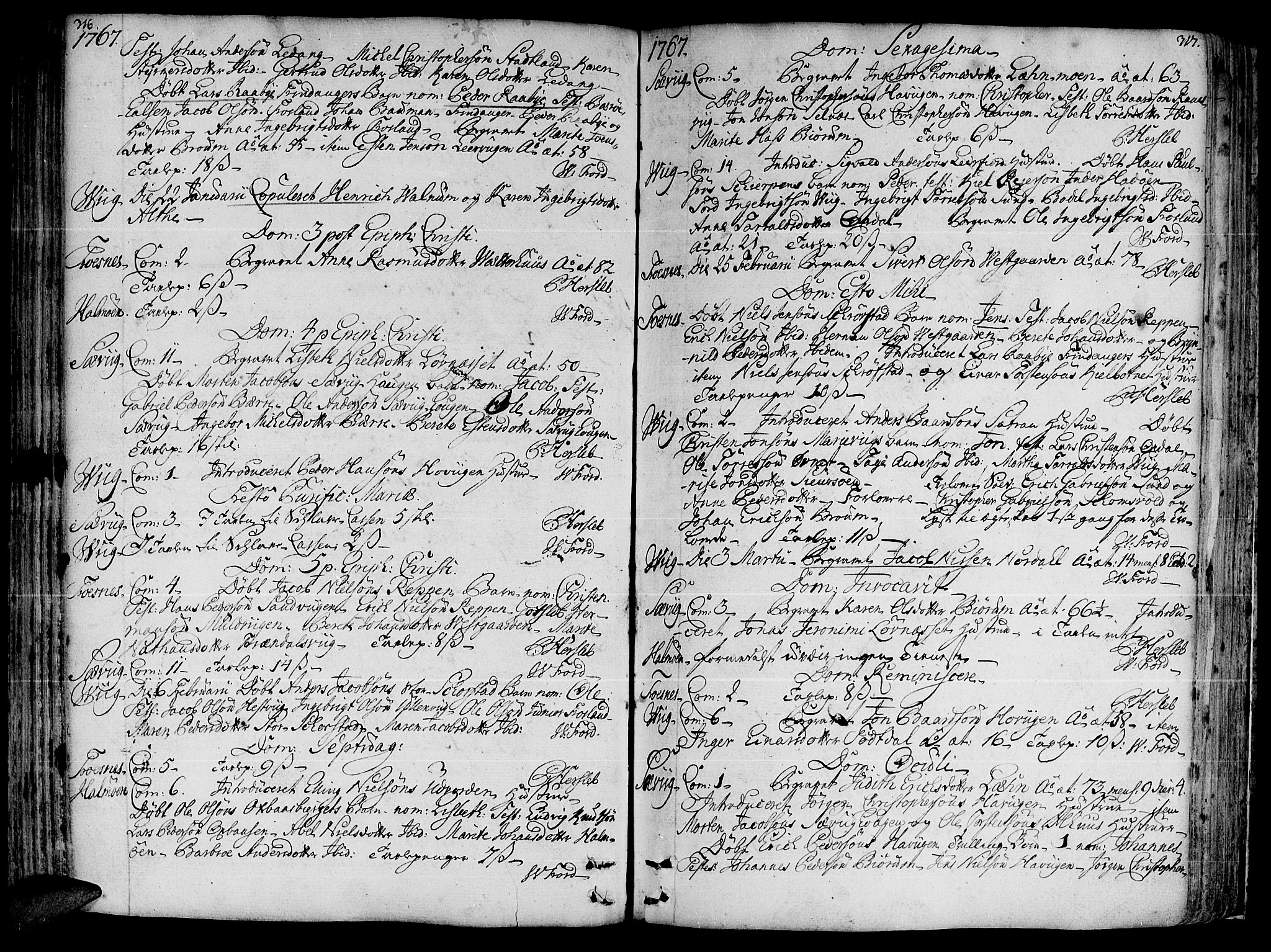 Ministerialprotokoller, klokkerbøker og fødselsregistre - Nord-Trøndelag, SAT/A-1458/773/L0607: Parish register (official) no. 773A01, 1751-1783, p. 316-317