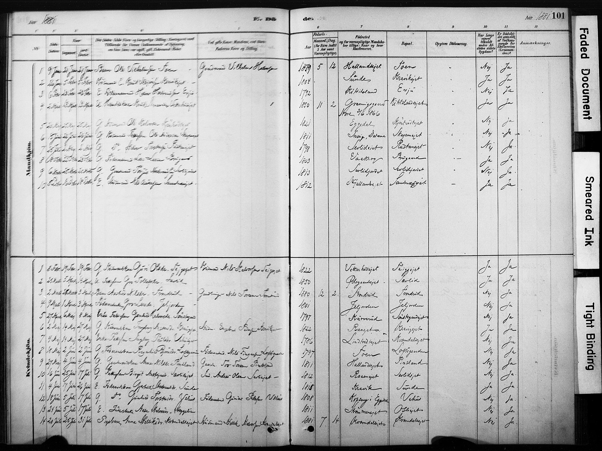 Nore kirkebøker, SAKO/A-238/F/Fb/L0001: Parish register (official) no. II 1, 1878-1886, p. 101