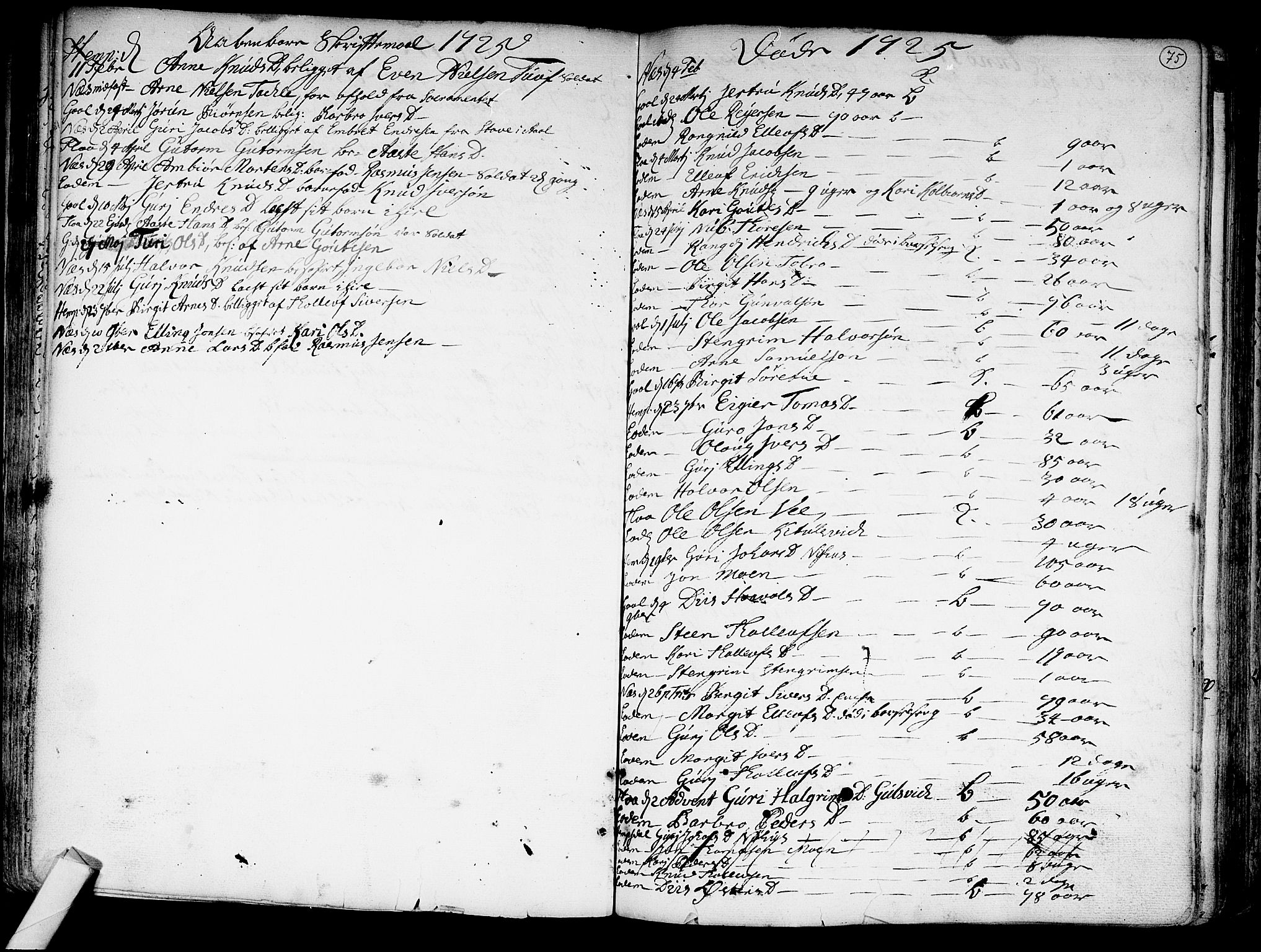 Nes kirkebøker, SAKO/A-236/F/Fa/L0002: Parish register (official) no. 2, 1707-1759, p. 75