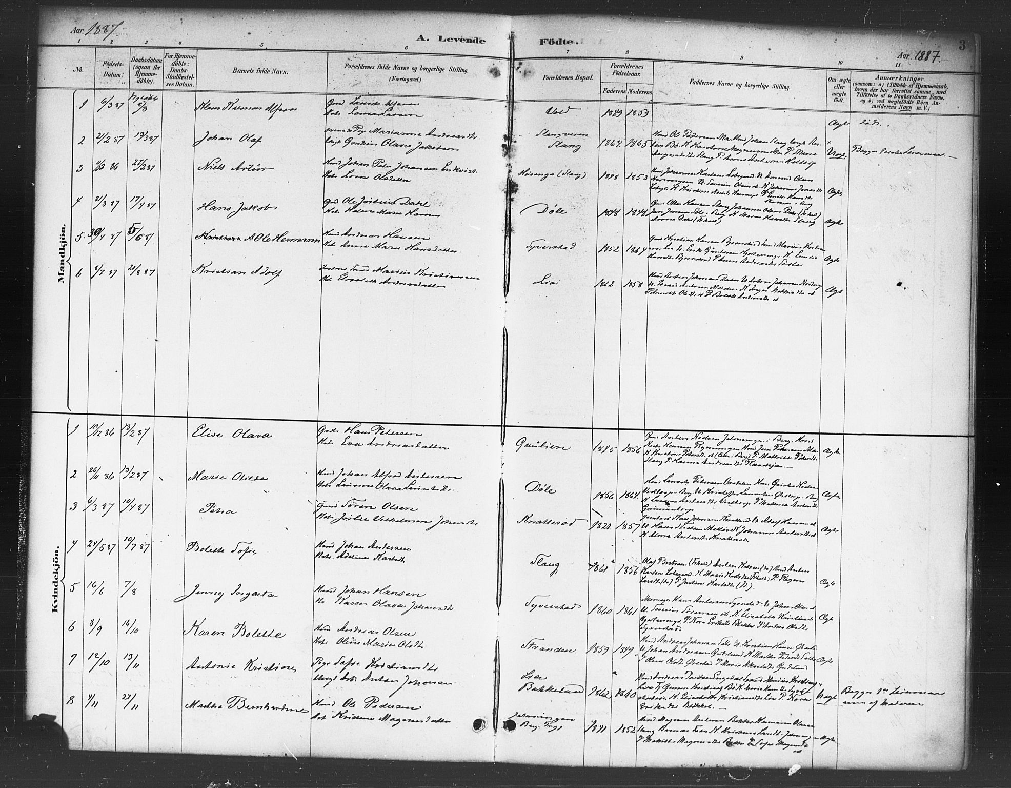 Skjeberg prestekontor Kirkebøker, SAO/A-10923/F/Fc/L0001: Parish register (official) no. III 1, 1886-1897, p. 3