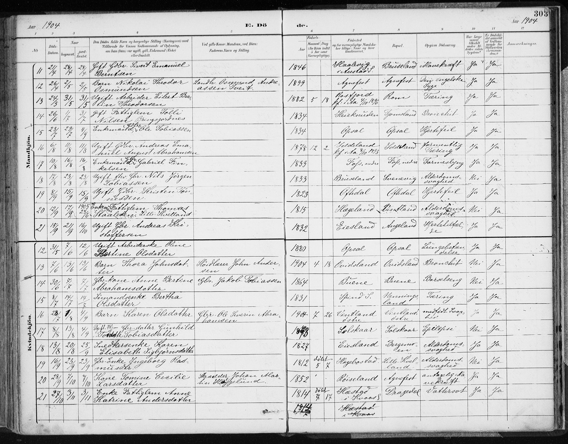 Lyngdal sokneprestkontor, SAK/1111-0029/F/Fa/Fac/L0012: Parish register (official) no. A 12, 1894-1918, p. 303