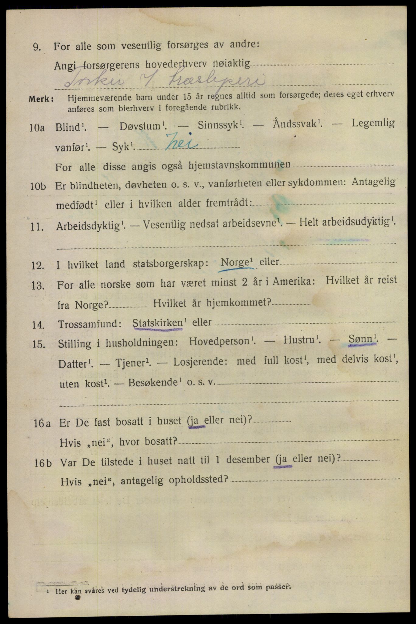 SAKO, 1920 census for Skien, 1920, p. 33137