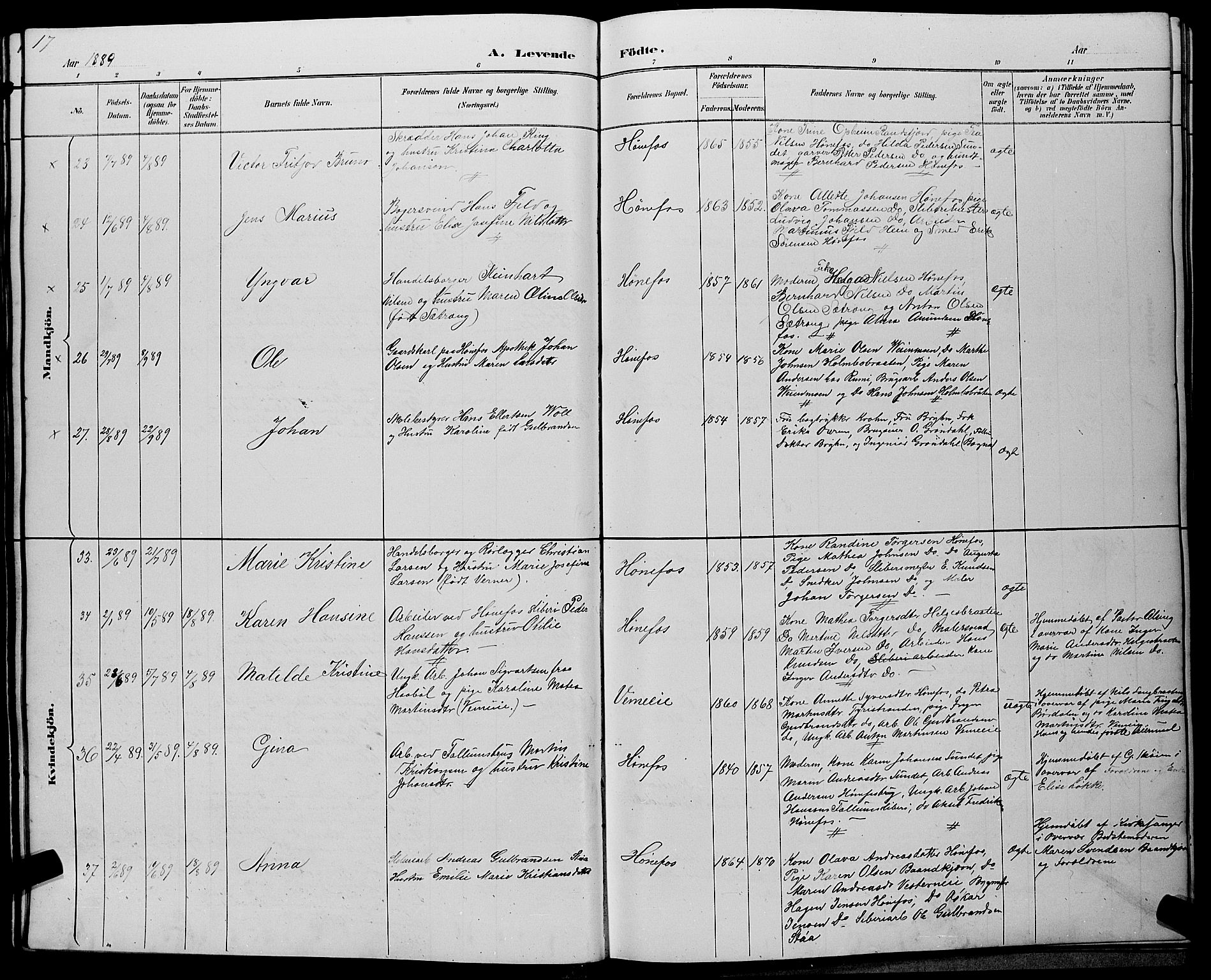 Hønefoss kirkebøker, AV/SAKO-A-609/G/Ga/L0002: Parish register (copy) no. 2, 1888-1904, p. 17