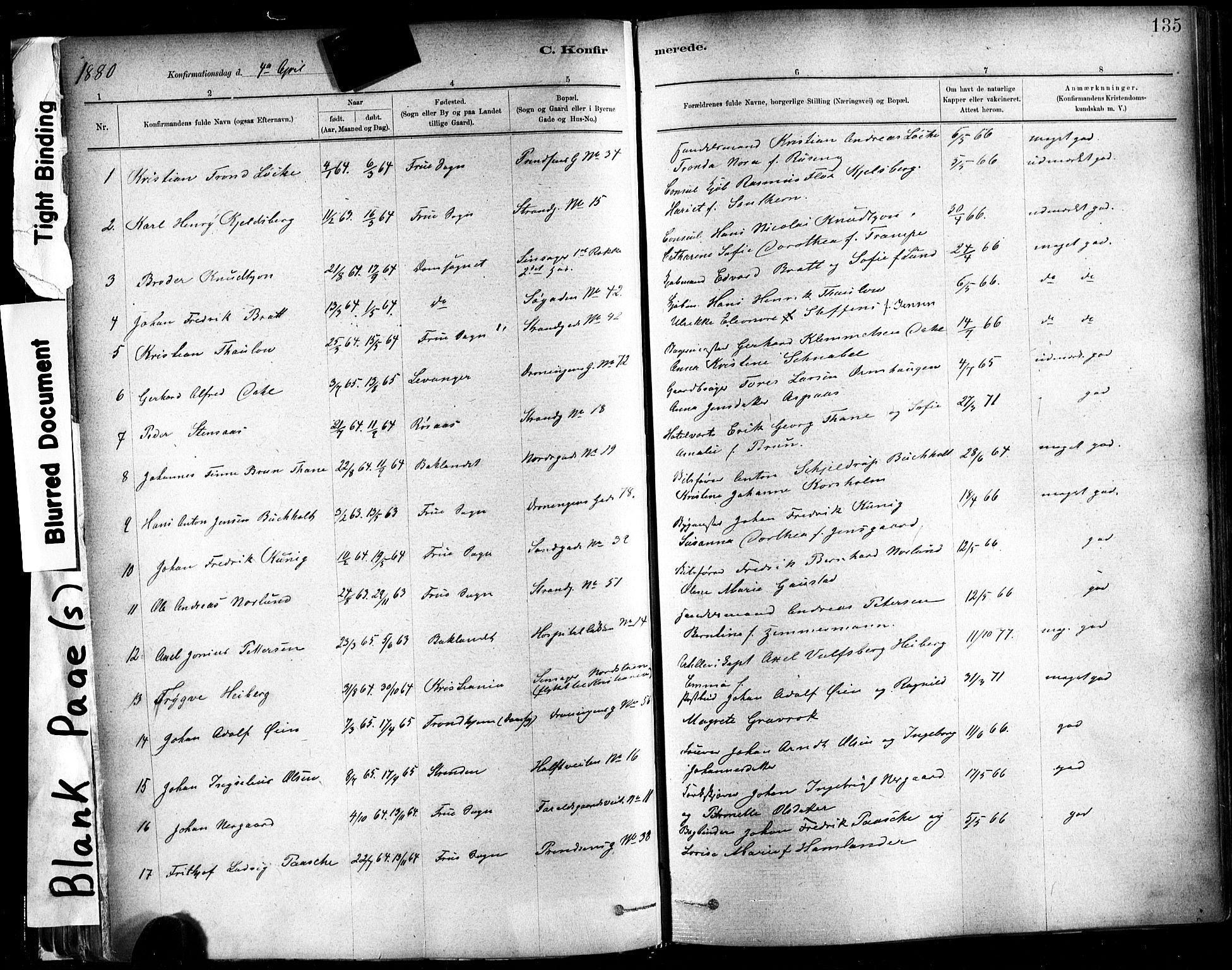 Ministerialprotokoller, klokkerbøker og fødselsregistre - Sør-Trøndelag, SAT/A-1456/602/L0119: Parish register (official) no. 602A17, 1880-1901, p. 135