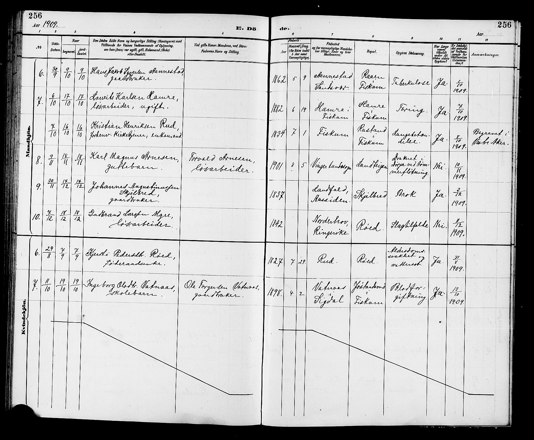 Fiskum kirkebøker, AV/SAKO-A-15/G/Ga/L0005: Parish register (copy) no. 5, 1887-1912, p. 256