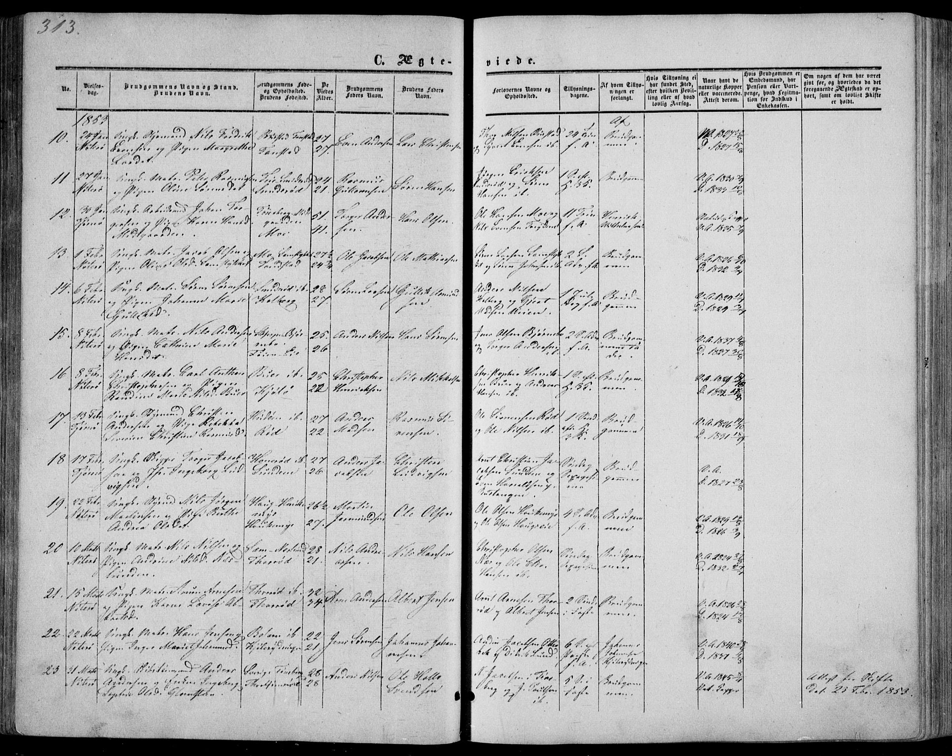 Nøtterøy kirkebøker, AV/SAKO-A-354/F/Fa/L0006: Parish register (official) no. I 6, 1852-1864, p. 313