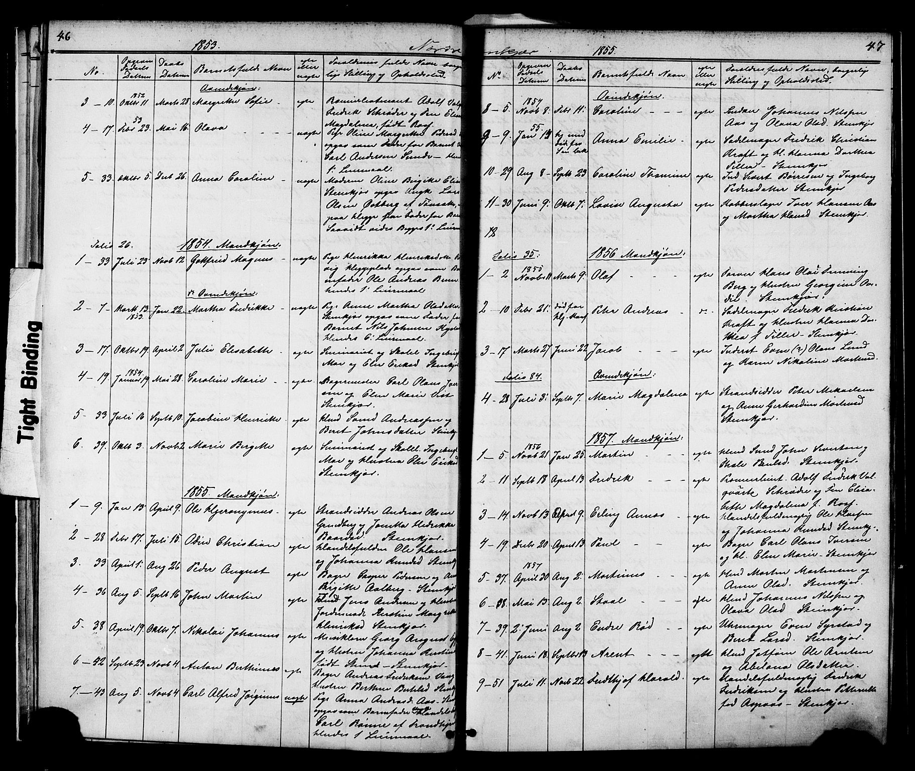 Ministerialprotokoller, klokkerbøker og fødselsregistre - Nord-Trøndelag, SAT/A-1458/739/L0367: Parish register (official) no. 739A01 /2, 1838-1868, p. 46-47