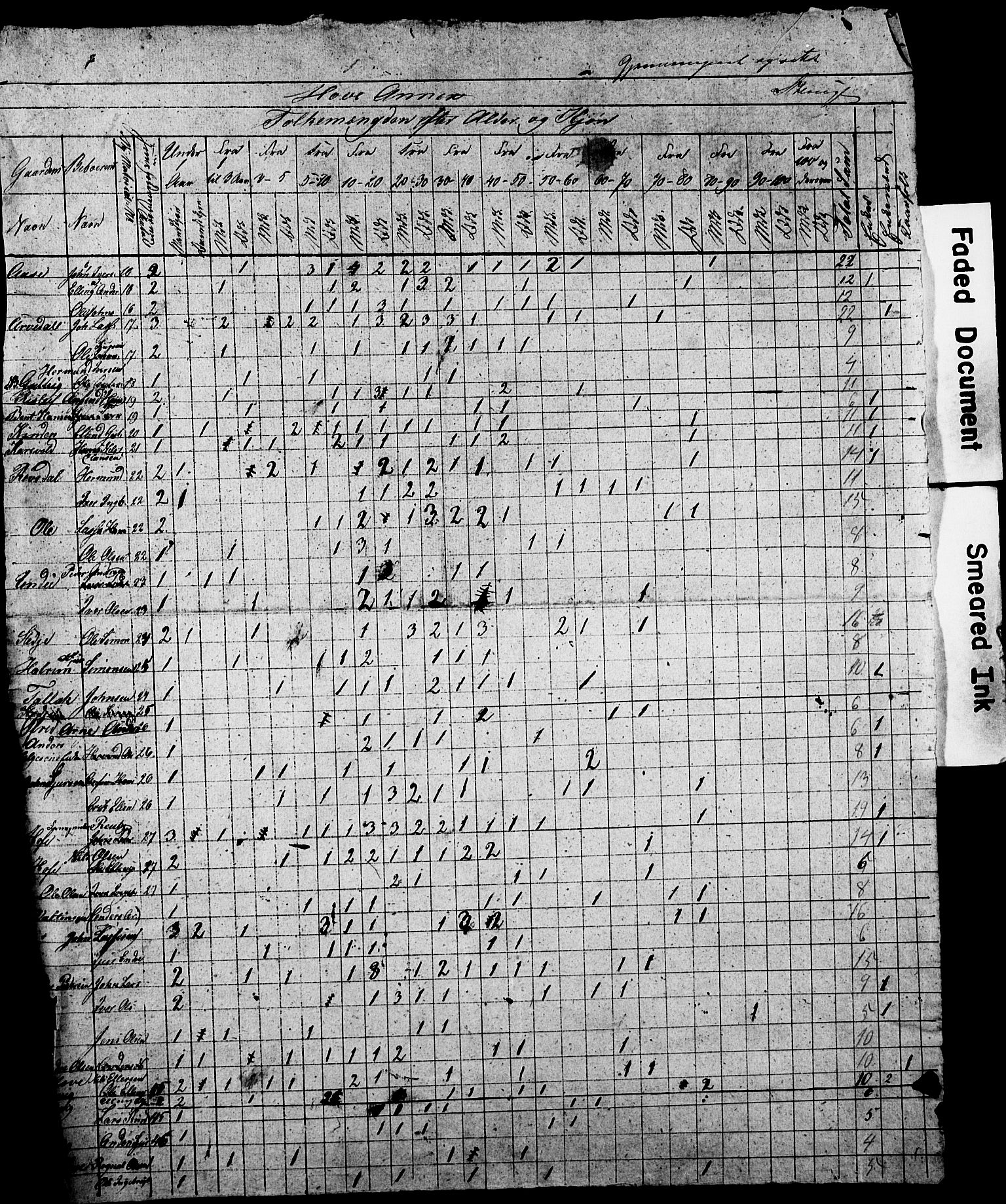 , Census 1845 for Vik, 1845, p. 21