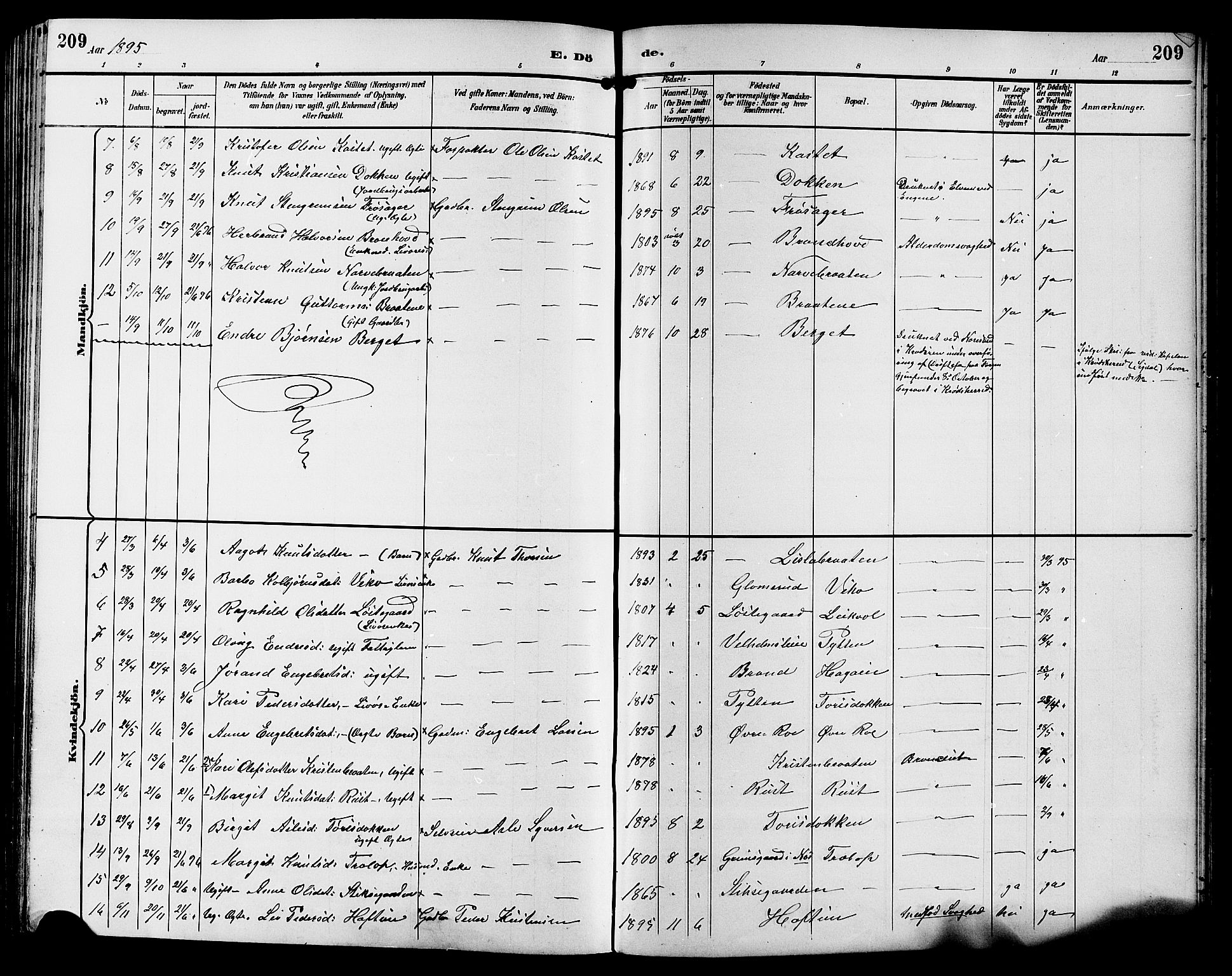 Gol kirkebøker, SAKO/A-226/G/Ga/L0003: Parish register (copy) no. I 3, 1887-1914, p. 209