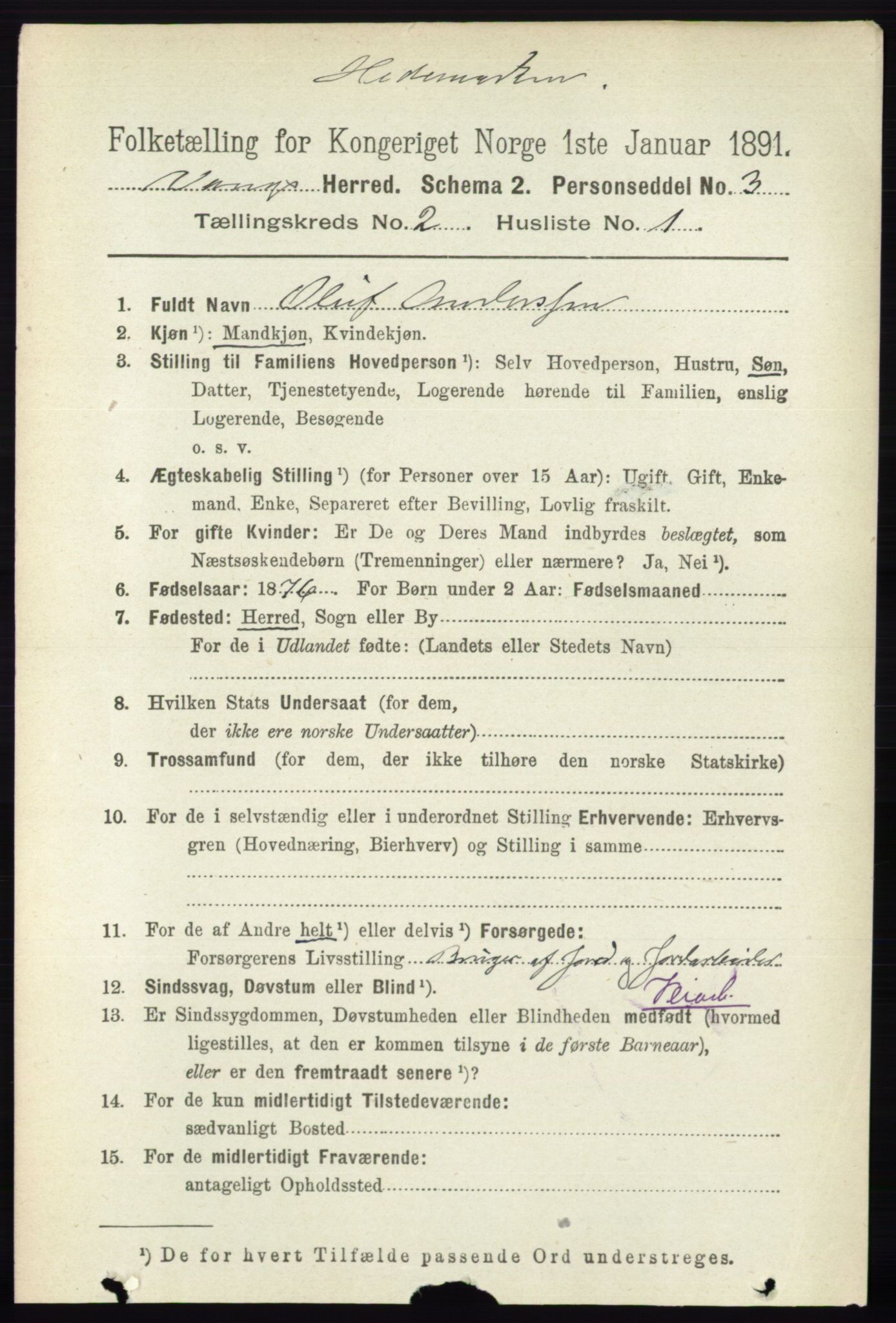 RA, 1891 census for 0414 Vang, 1891, p. 1041