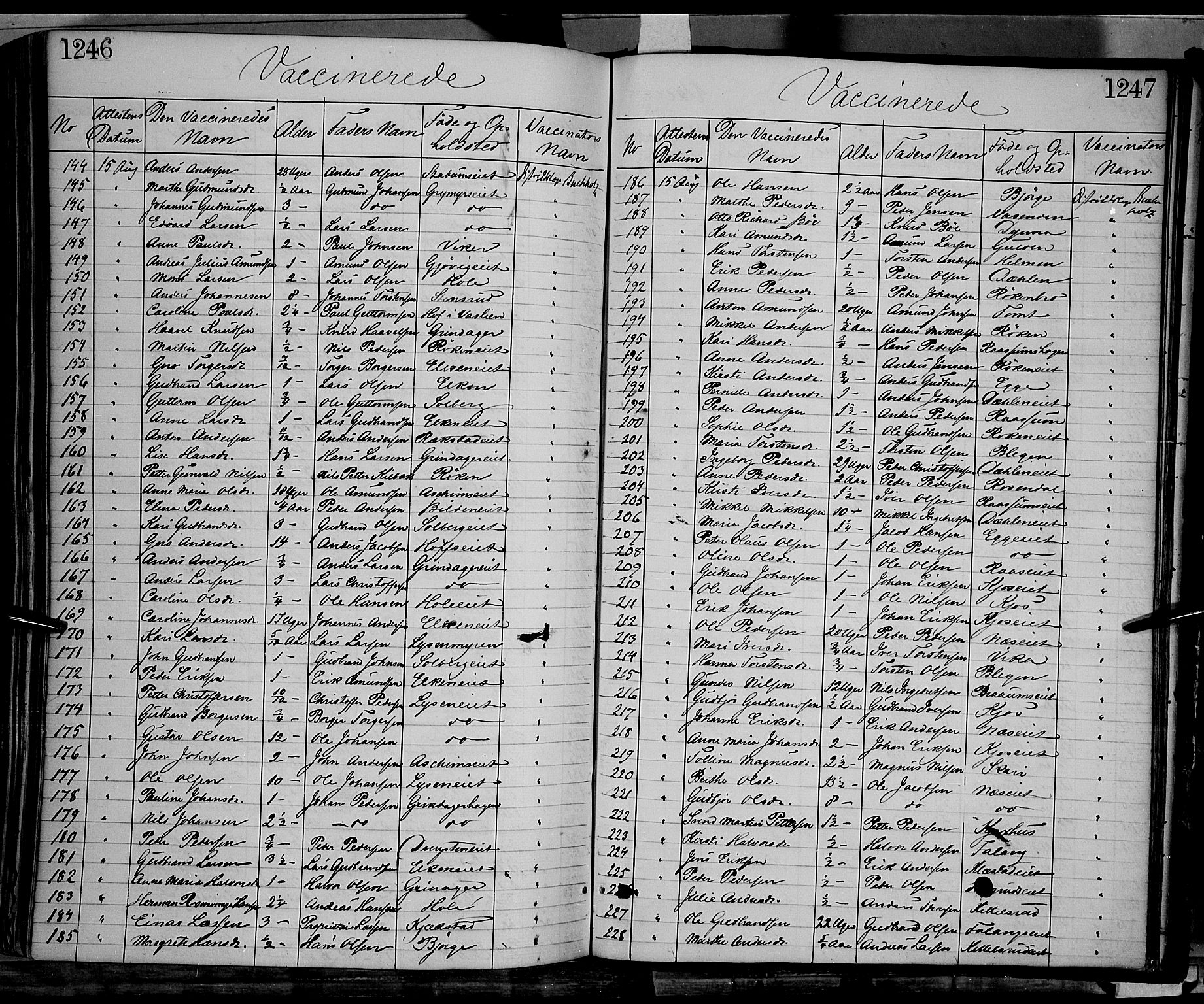 Gran prestekontor, SAH/PREST-112/H/Ha/Haa/L0012: Parish register (official) no. 12, 1856-1874, p. 1246-1247