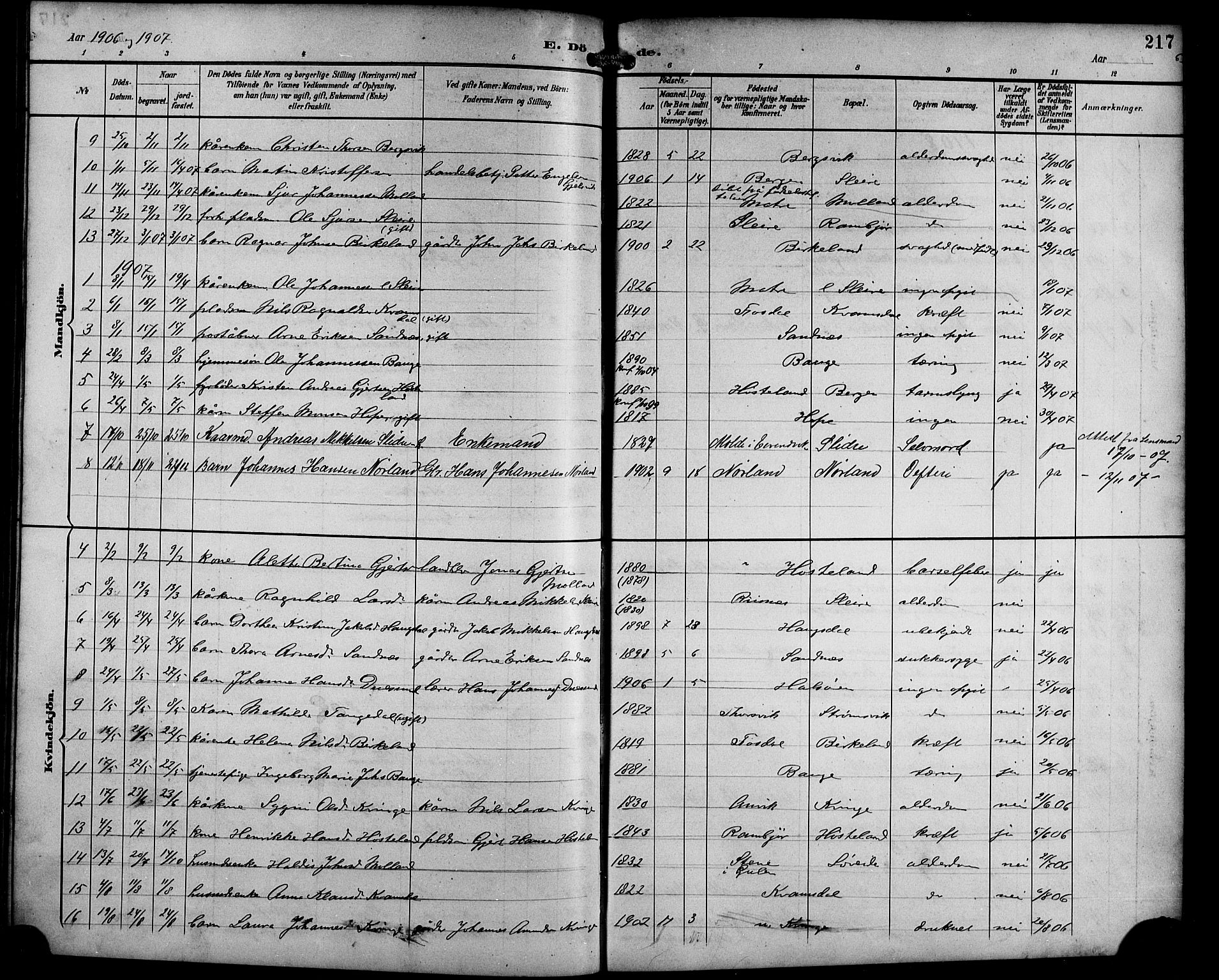 Masfjorden sokneprestembete, AV/SAB-A-77001: Parish register (copy) no. B 1, 1892-1913, p. 217