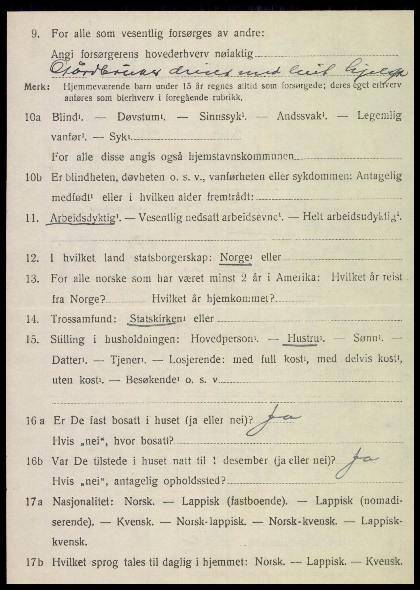 SAT, 1920 census for Vik, 1920, p. 5248