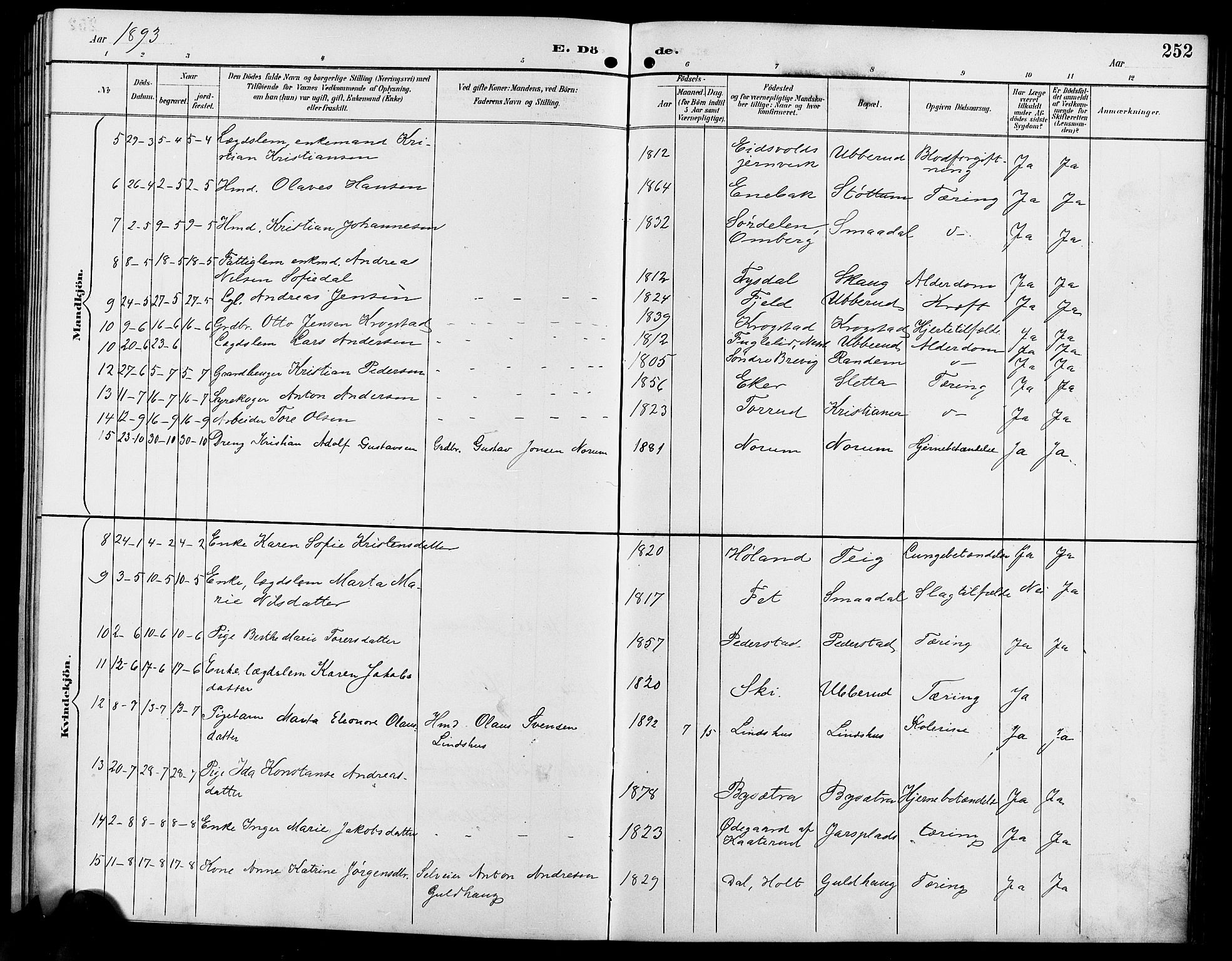 Enebakk prestekontor Kirkebøker, SAO/A-10171c/G/Ga/L0006: Parish register (copy) no. I 6, 1889-1911, p. 252