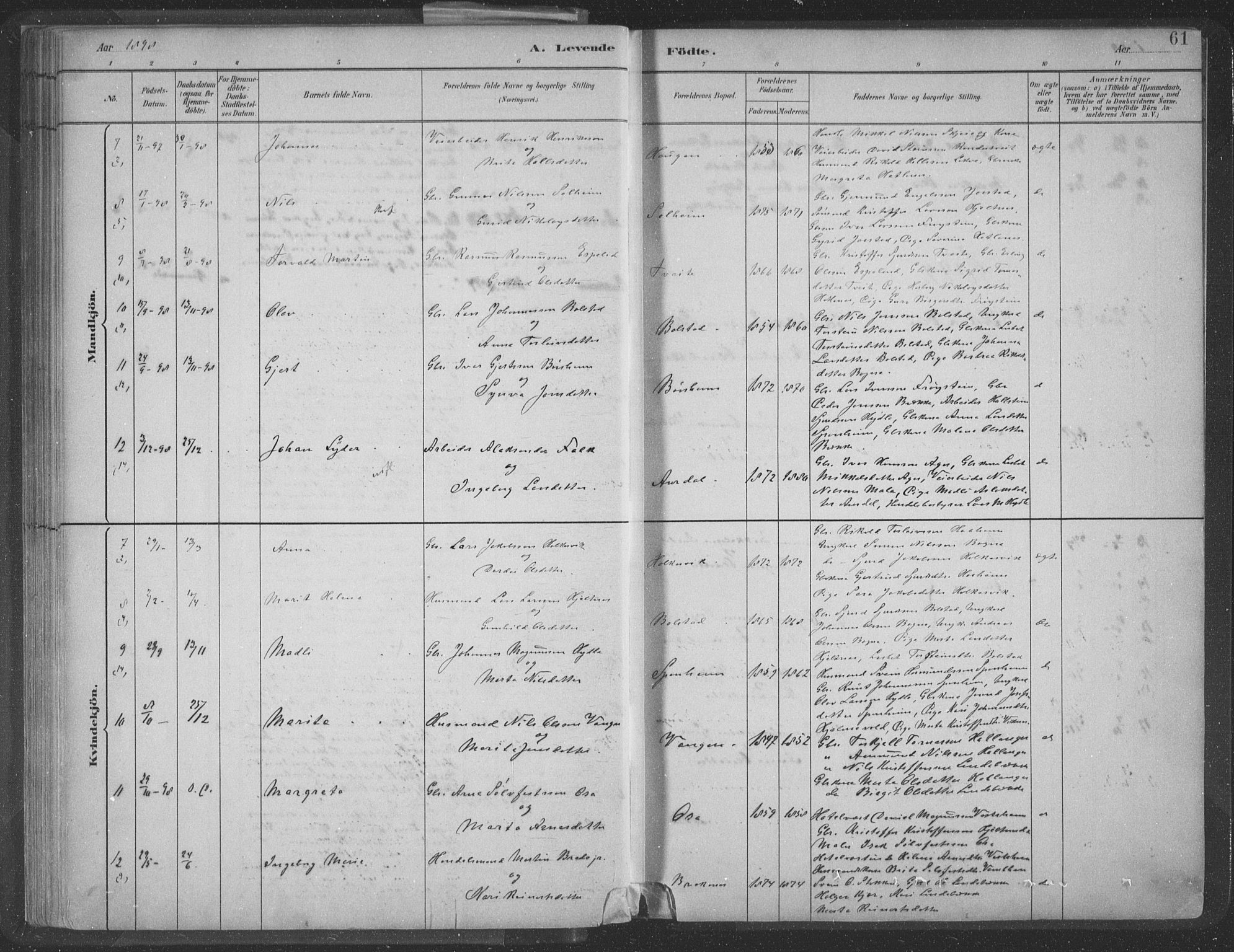 Ulvik sokneprestembete, SAB/A-78801/H/Hab: Parish register (copy) no. A 3, 1883-1908, p. 61