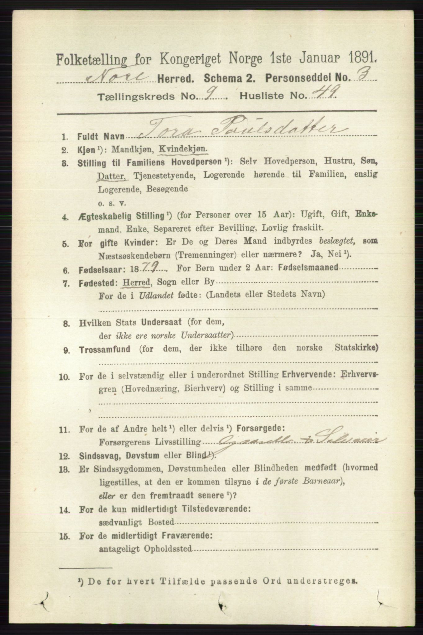 RA, 1891 census for 0633 Nore, 1891, p. 3504