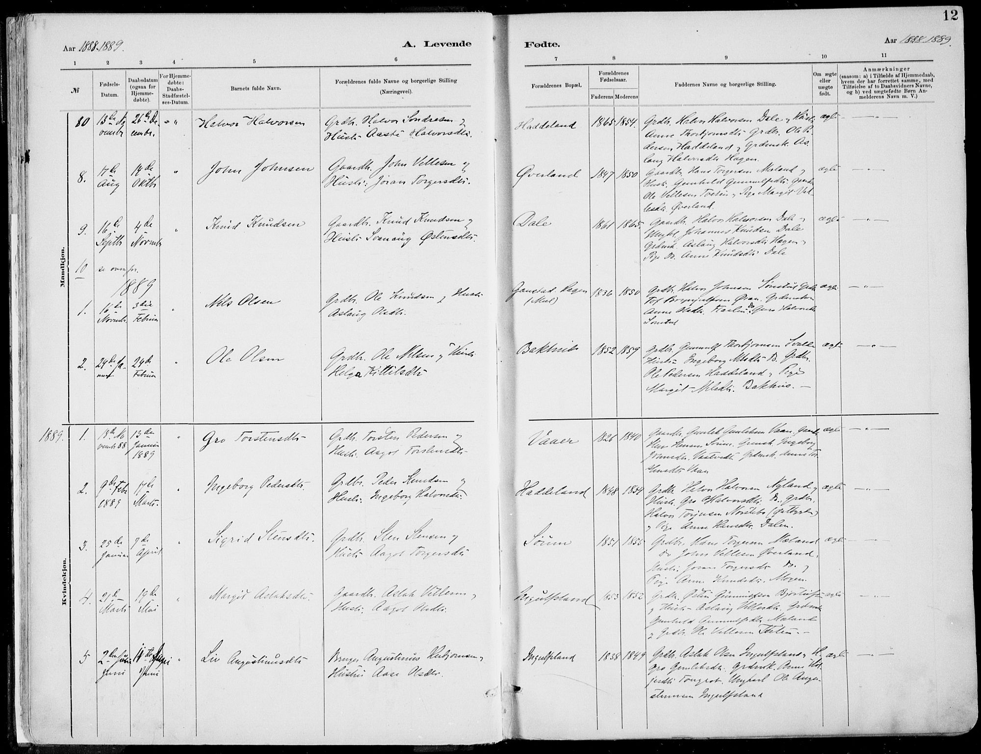 Rjukan kirkebøker, SAKO/A-294/F/Fa/L0001: Parish register (official) no. 1, 1878-1912, p. 12
