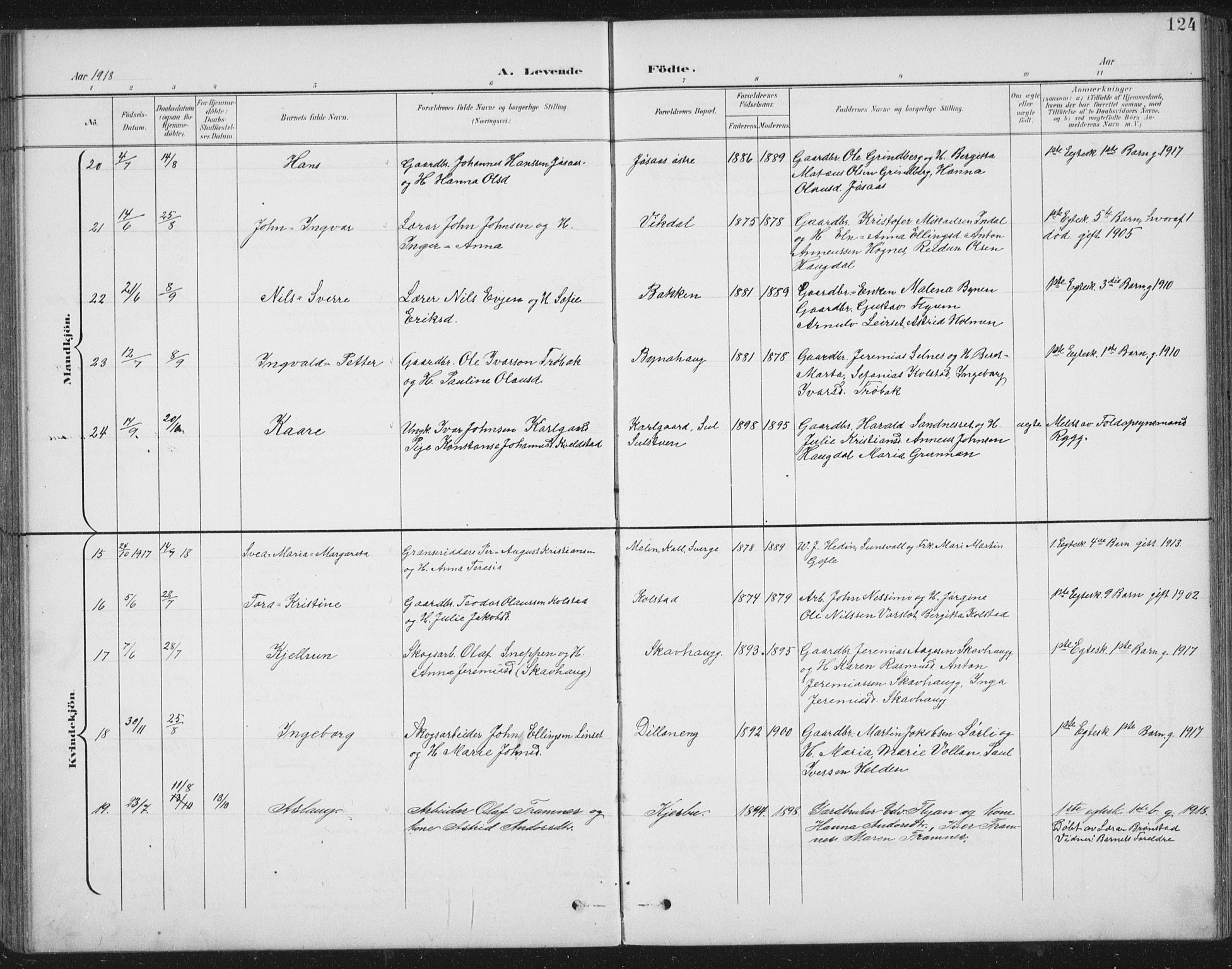 Ministerialprotokoller, klokkerbøker og fødselsregistre - Nord-Trøndelag, AV/SAT-A-1458/724/L0269: Parish register (copy) no. 724C05, 1899-1920, p. 124