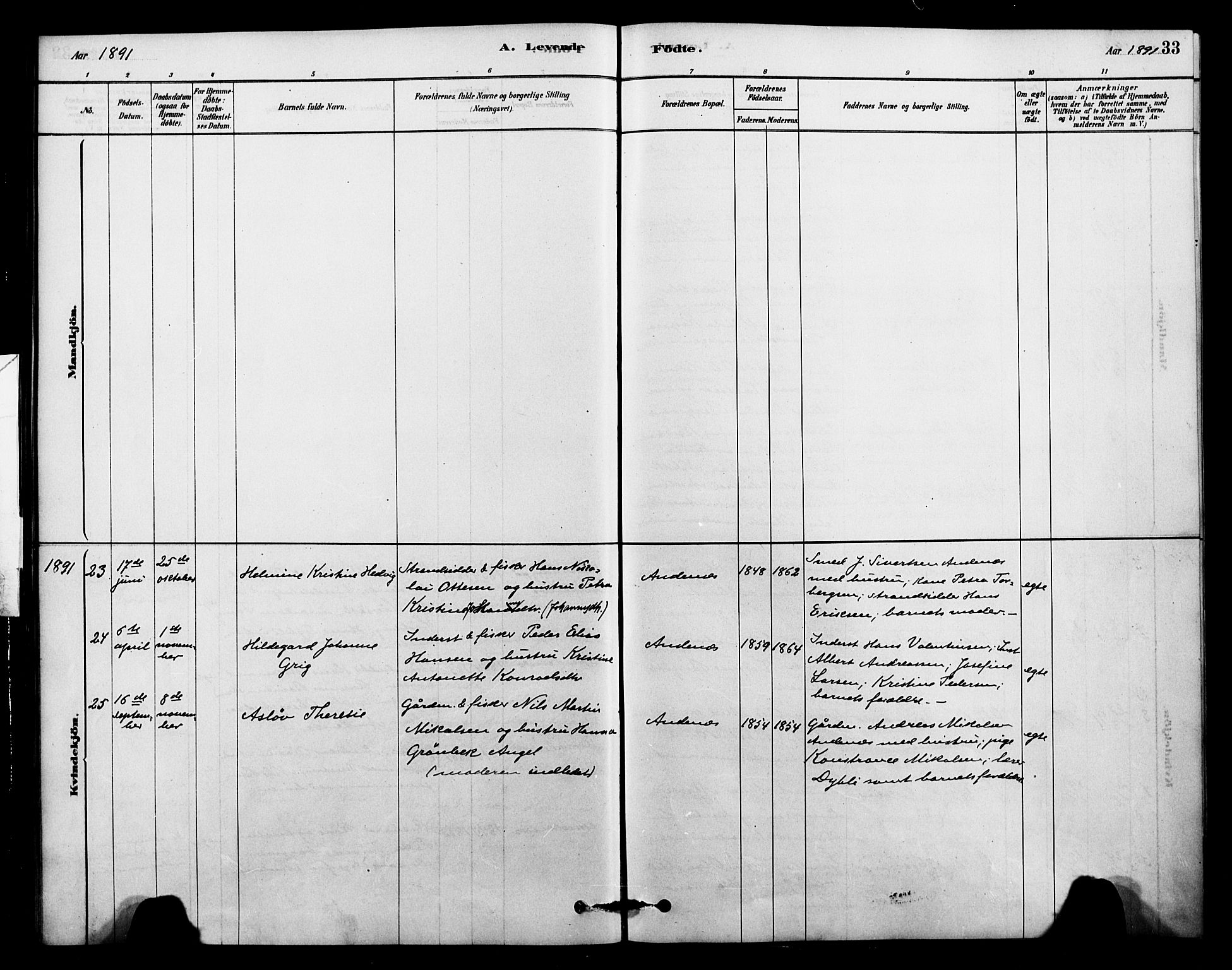 Ministerialprotokoller, klokkerbøker og fødselsregistre - Nordland, AV/SAT-A-1459/899/L1436: Parish register (official) no. 899A04, 1881-1896, p. 33