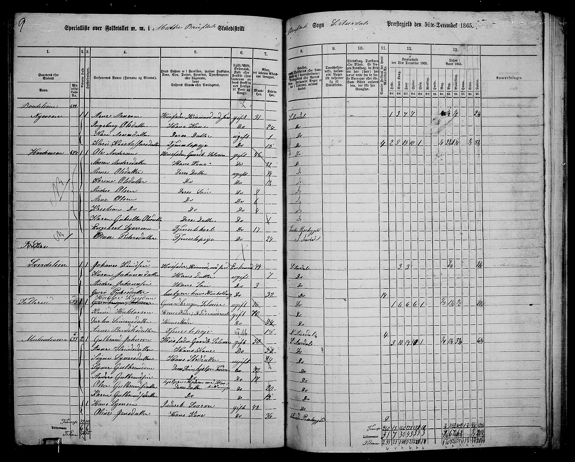 RA, 1865 census for Sør-Aurdal, 1865, p. 225