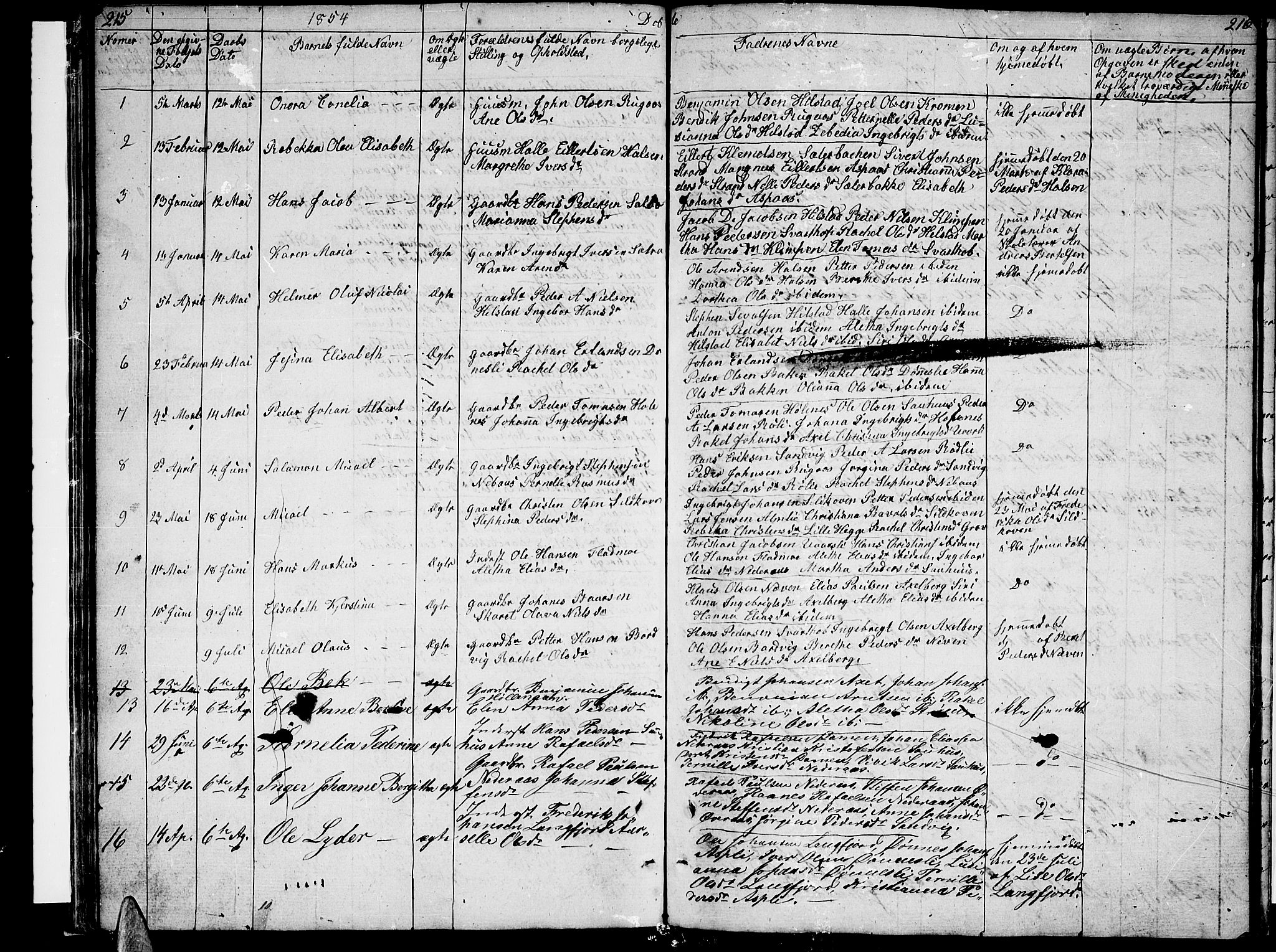 Ministerialprotokoller, klokkerbøker og fødselsregistre - Nordland, AV/SAT-A-1459/814/L0228: Parish register (copy) no. 814C01, 1838-1858, p. 215-216