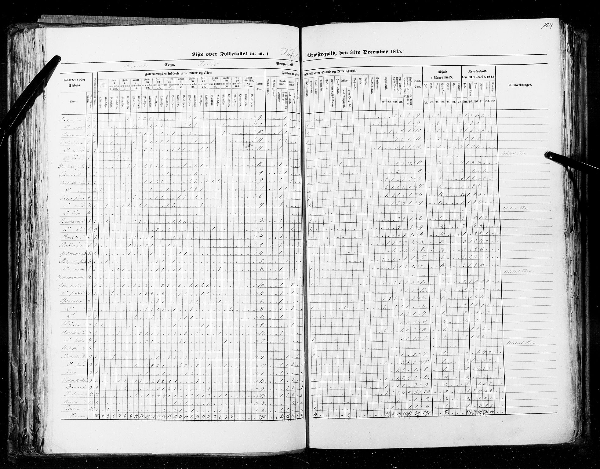 RA, Census 1845, vol. 5: Bratsberg amt og Nedenes og Råbyggelaget amt, 1845, p. 124