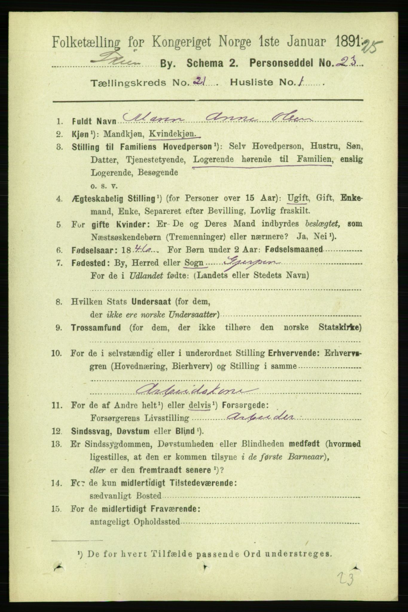 RA, 1891 census for 0806 Skien, 1891, p. 5428