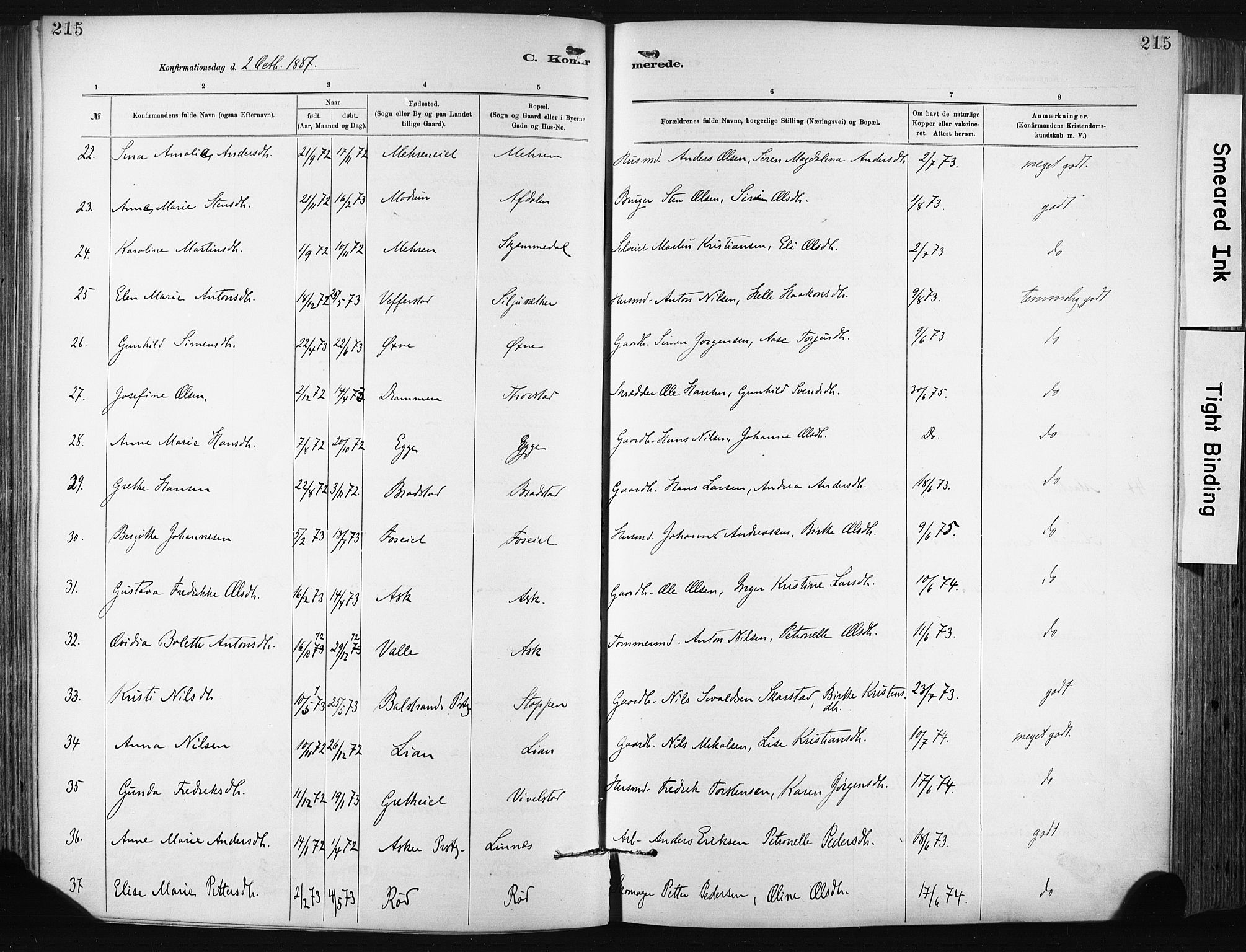 Lier kirkebøker, AV/SAKO-A-230/F/Fa/L0015: Parish register (official) no. I 15, 1883-1894, p. 215