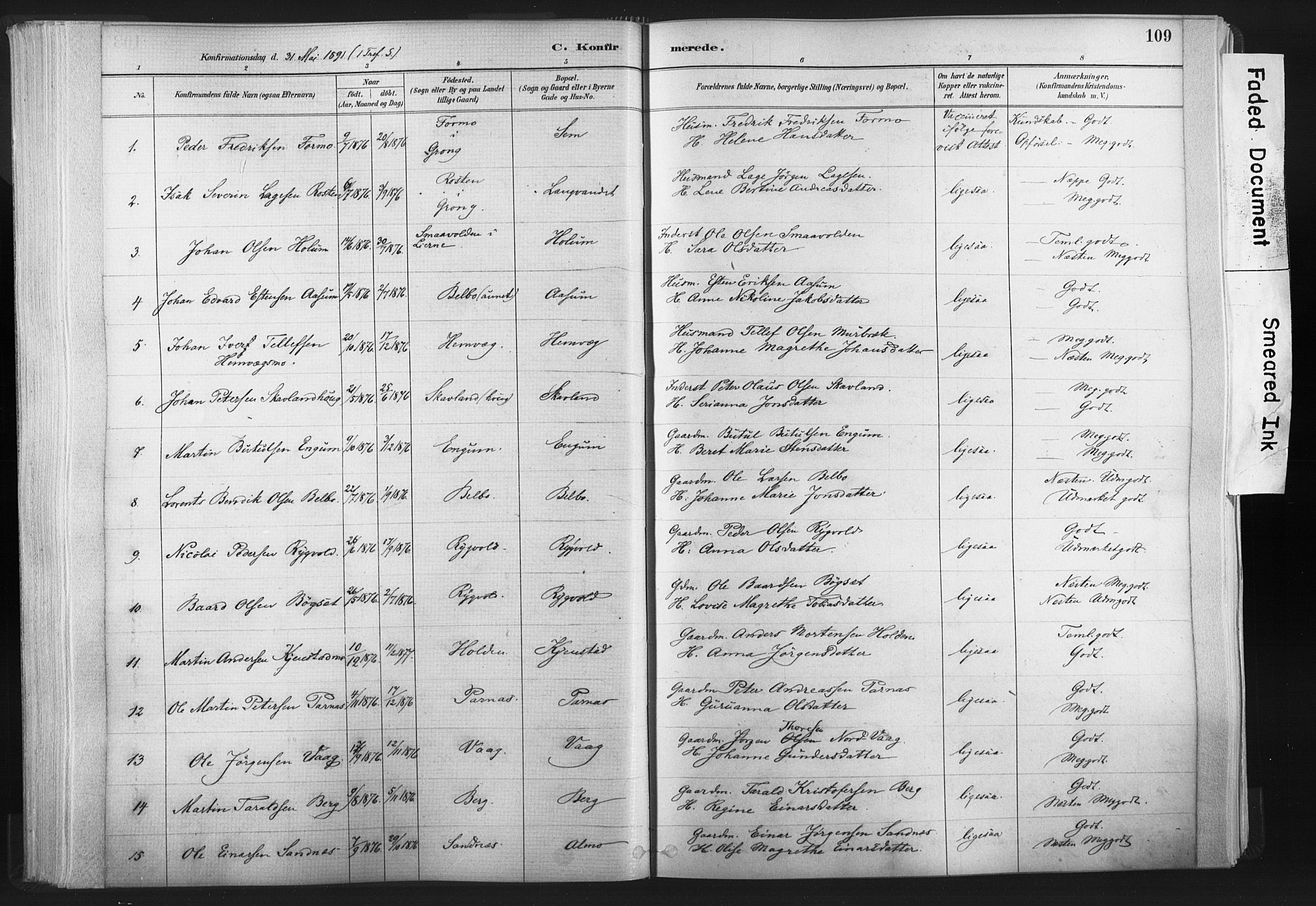 Ministerialprotokoller, klokkerbøker og fødselsregistre - Nord-Trøndelag, AV/SAT-A-1458/749/L0474: Parish register (official) no. 749A08, 1887-1903, p. 109