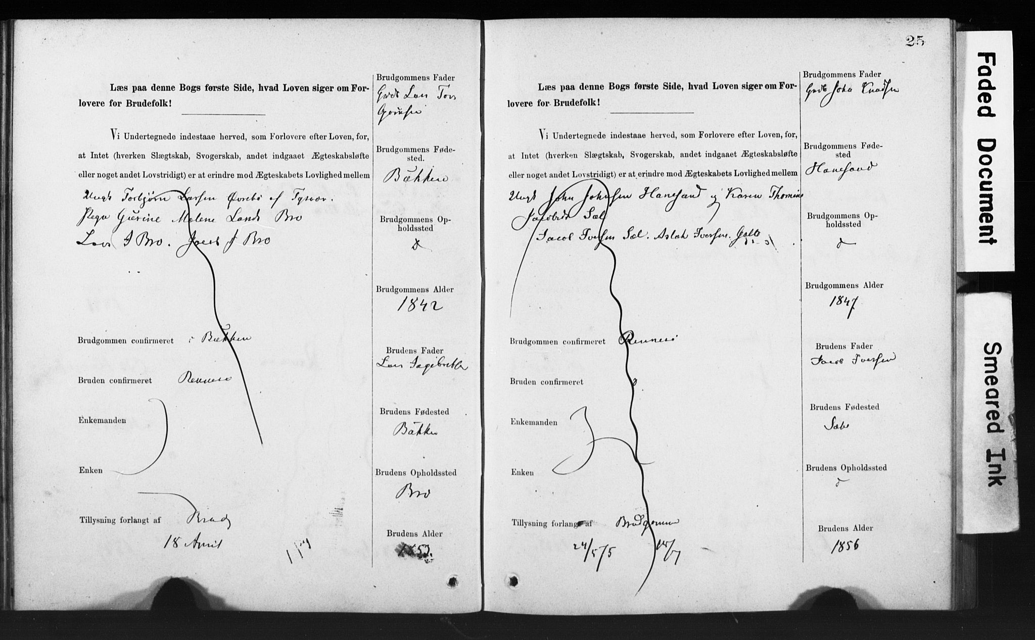 Rennesøy sokneprestkontor, AV/SAST-A -101827/I/Ie/L0001: Banns register no. 1, 1873-1898, p. 25