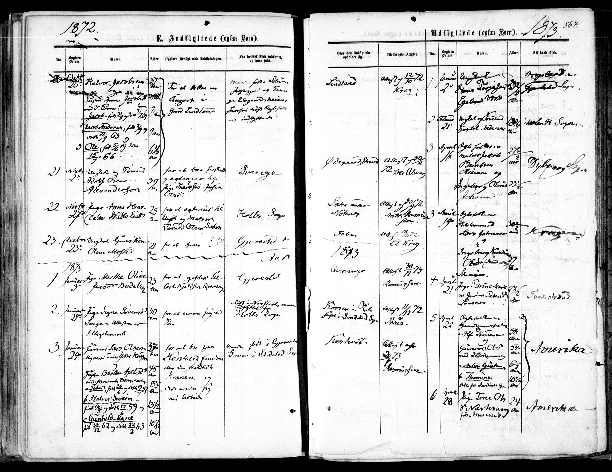 Søndeled sokneprestkontor, AV/SAK-1111-0038/F/Fa/L0003: Parish register (official) no. A 3, 1861-1879, p. 564