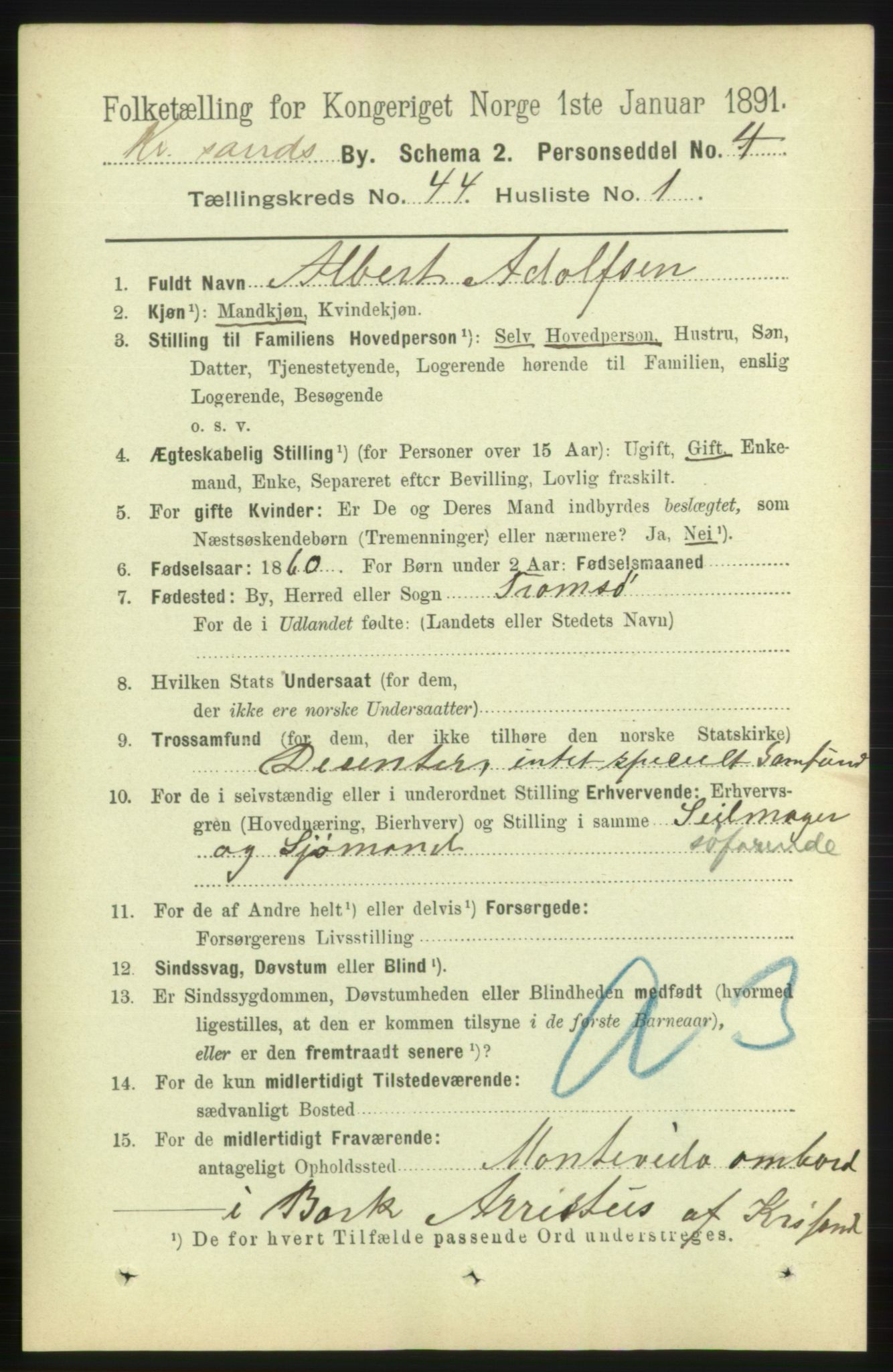 RA, 1891 census for 1001 Kristiansand, 1891, p. 13316