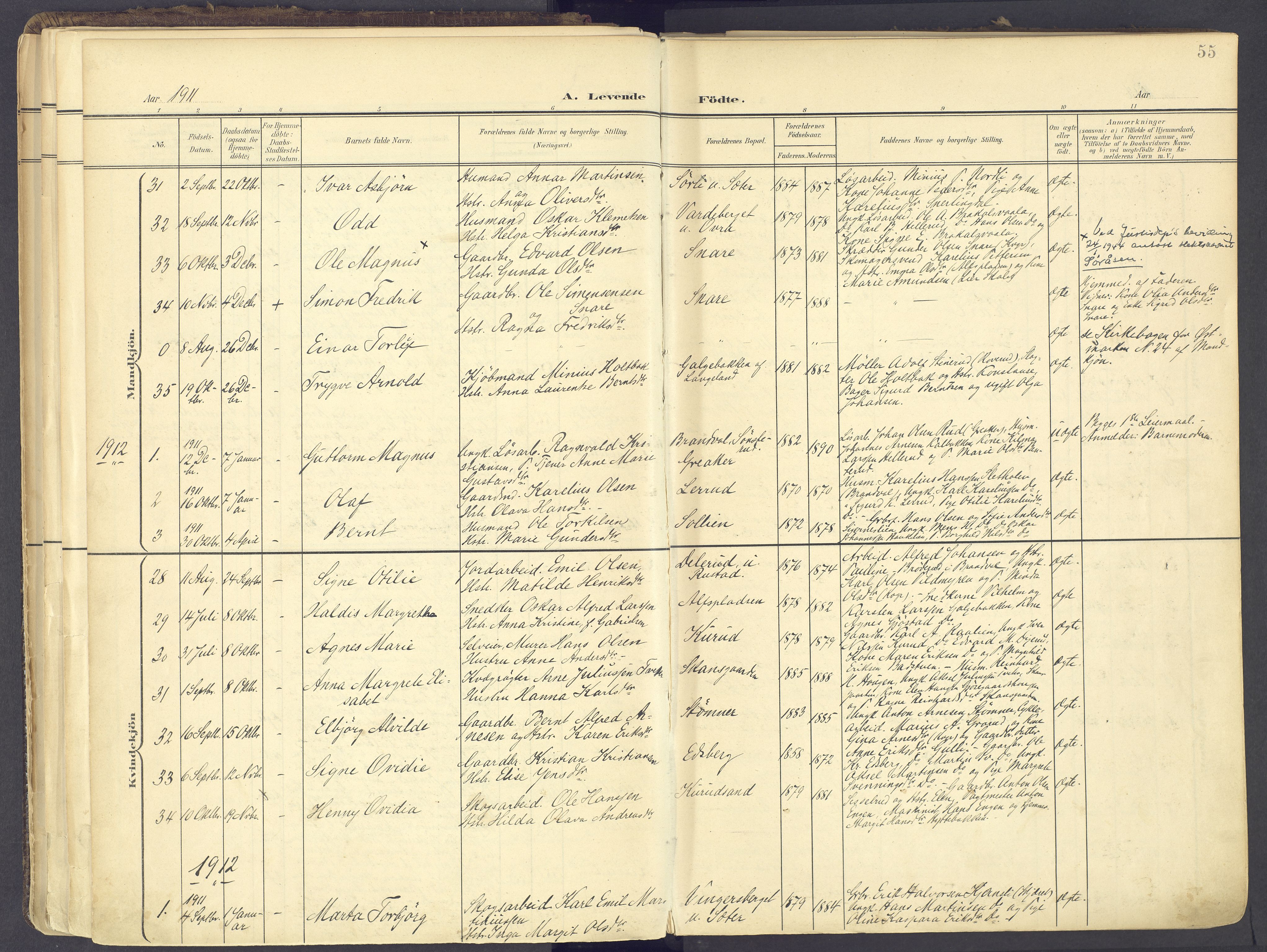 Vinger prestekontor, AV/SAH-PREST-024/H/Ha/Haa/L0017: Parish register (official) no. 17, 1901-1927, p. 55