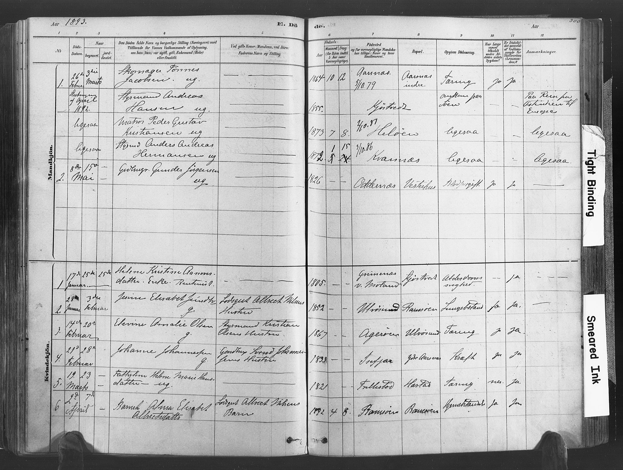 Høvåg sokneprestkontor, SAK/1111-0025/F/Fa/L0005: Parish register (official) no. A 5, 1878-1893, p. 300