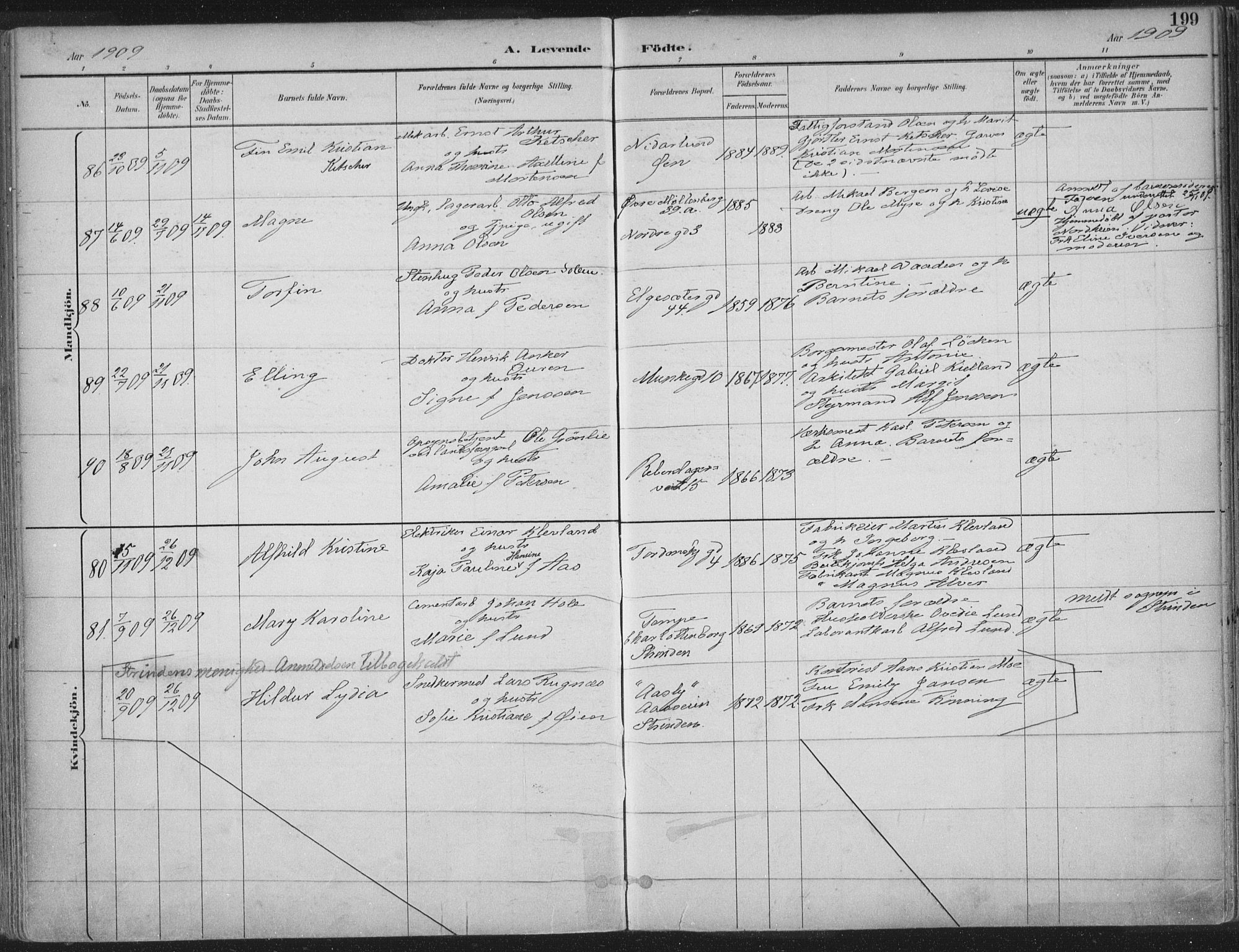 Ministerialprotokoller, klokkerbøker og fødselsregistre - Sør-Trøndelag, AV/SAT-A-1456/601/L0062: Parish register (official) no. 601A30, 1891-1911, p. 199