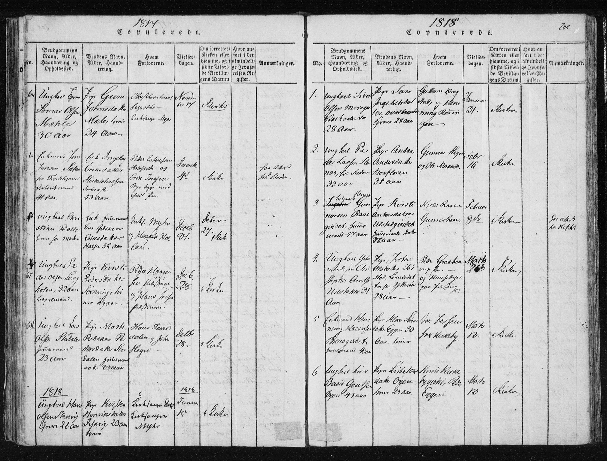 Ministerialprotokoller, klokkerbøker og fødselsregistre - Nord-Trøndelag, SAT/A-1458/709/L0061: Parish register (official) no. 709A08 /1, 1815-1819, p. 205
