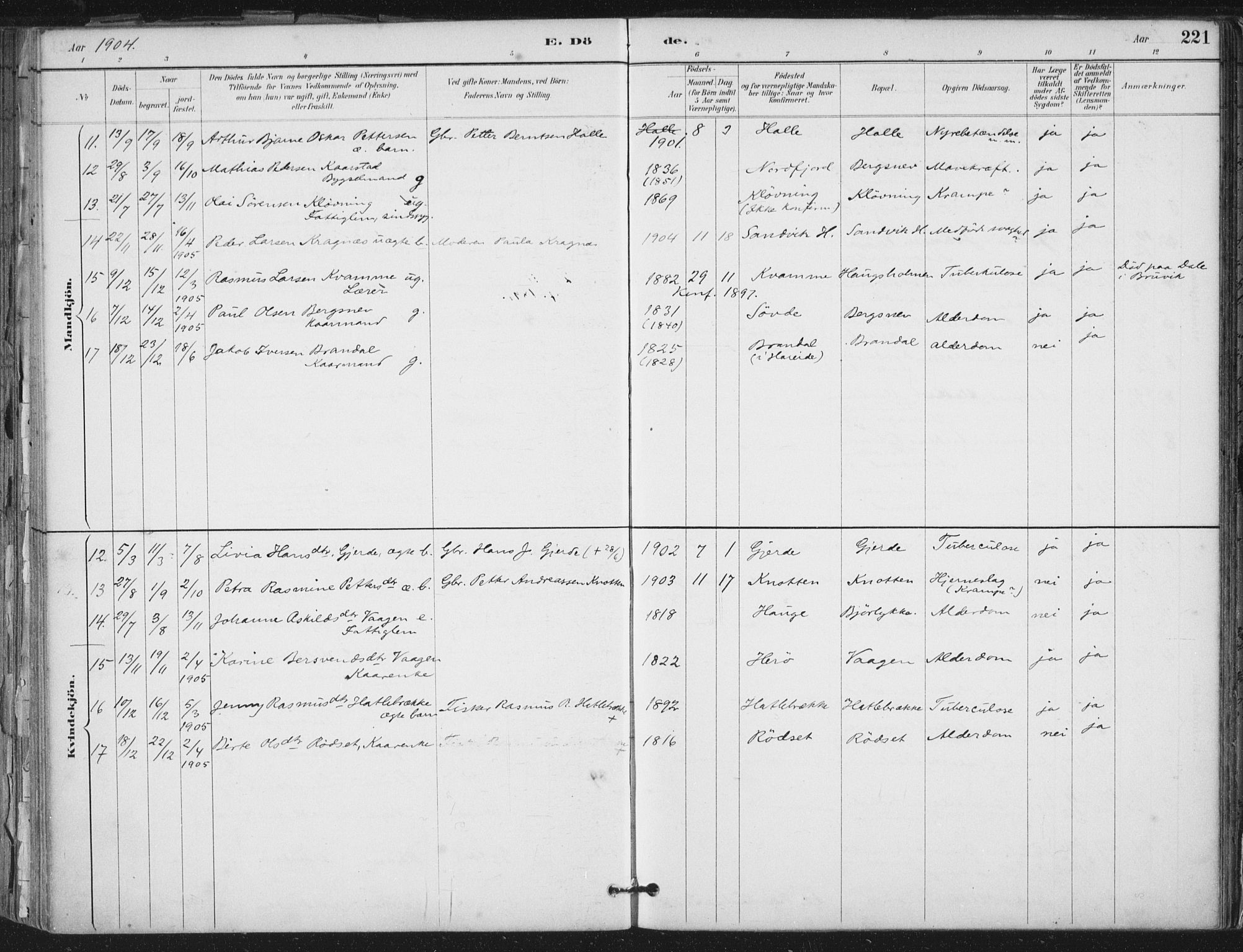 Ministerialprotokoller, klokkerbøker og fødselsregistre - Møre og Romsdal, AV/SAT-A-1454/503/L0037: Parish register (official) no. 503A05, 1884-1900, p. 221