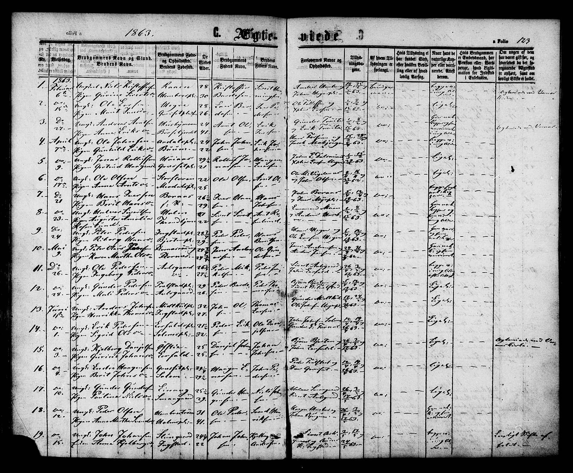 Ministerialprotokoller, klokkerbøker og fødselsregistre - Nord-Trøndelag, SAT/A-1458/703/L0029: Parish register (official) no. 703A02, 1863-1879, p. 123