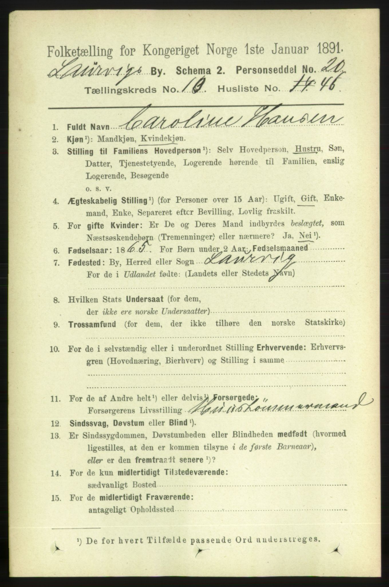 RA, 1891 census for 0707 Larvik, 1891, p. 9514