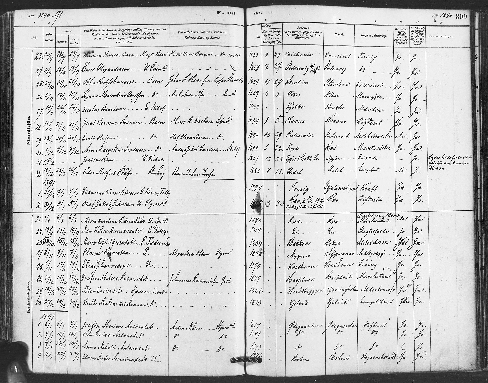 Hvaler prestekontor Kirkebøker, AV/SAO-A-2001/F/Fa/L0008: Parish register (official) no. I 8, 1878-1895, p. 309