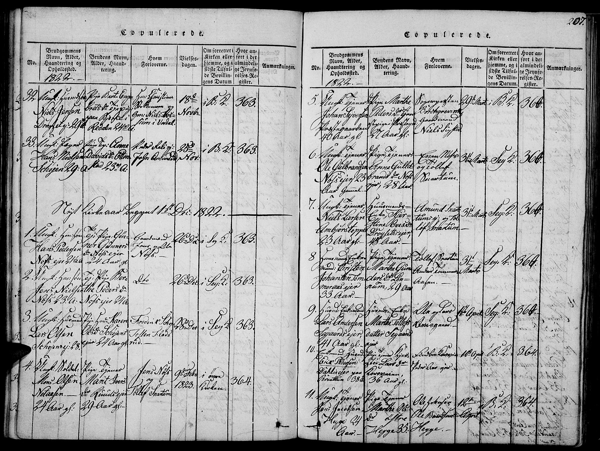 Biri prestekontor, SAH/PREST-096/H/Ha/Haa/L0003: Parish register (official) no. 3, 1814-1828, p. 207